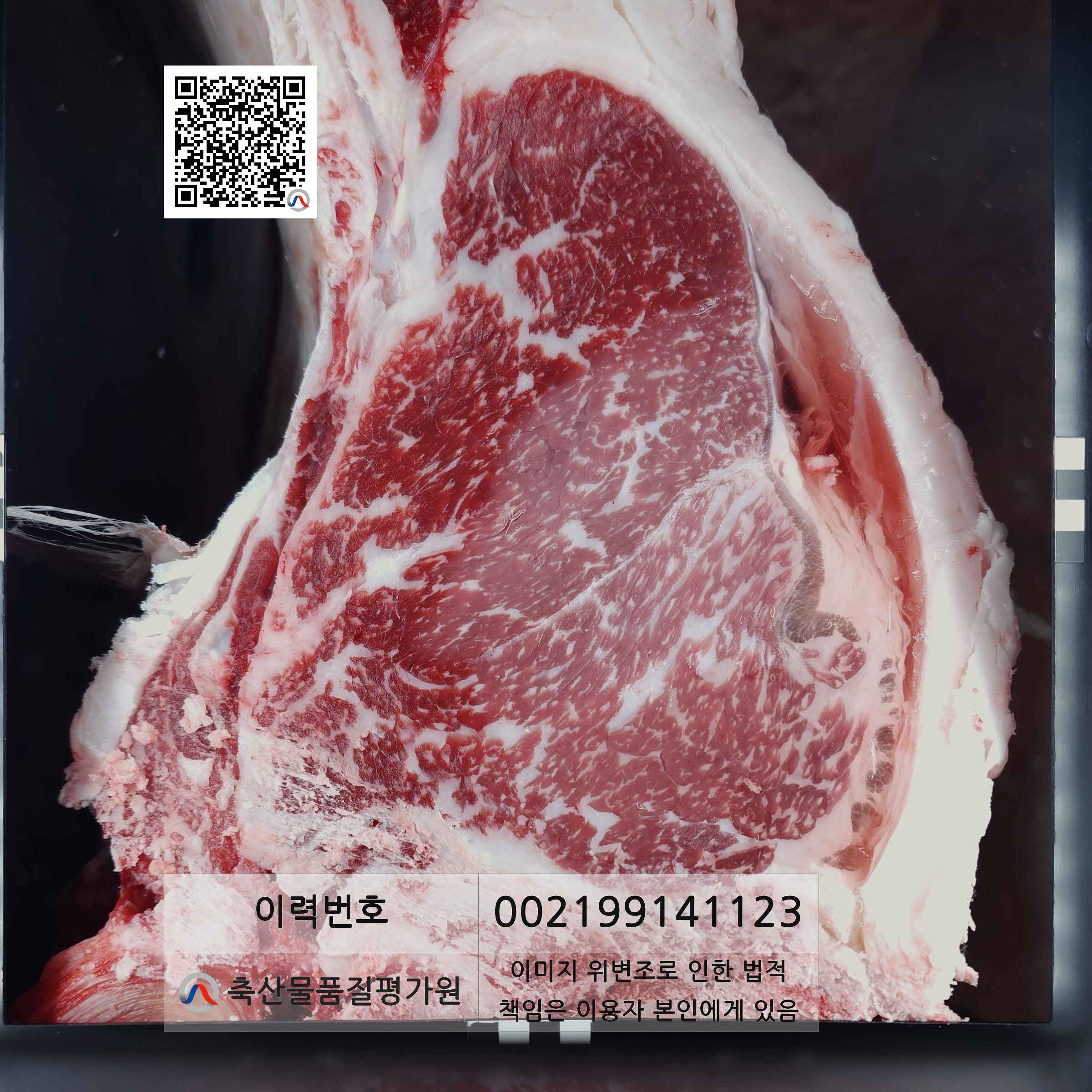 등심단면적 사진