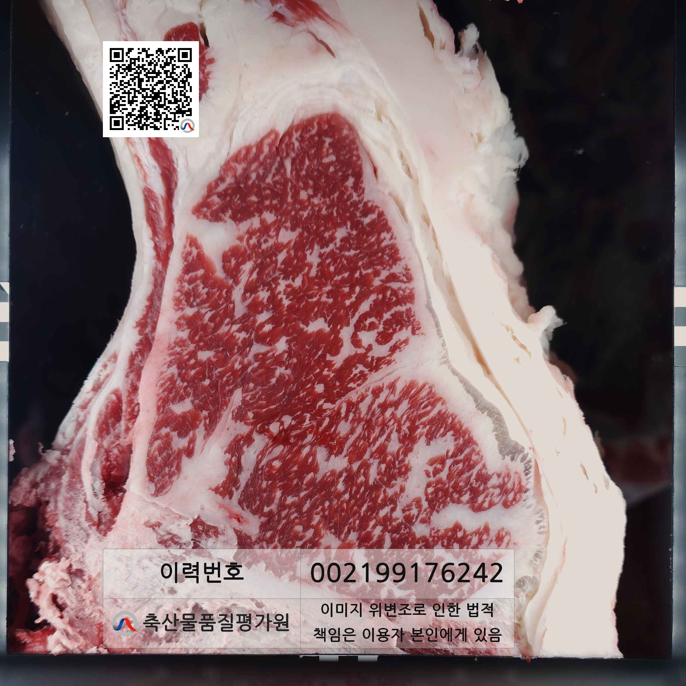 등심단면적 사진