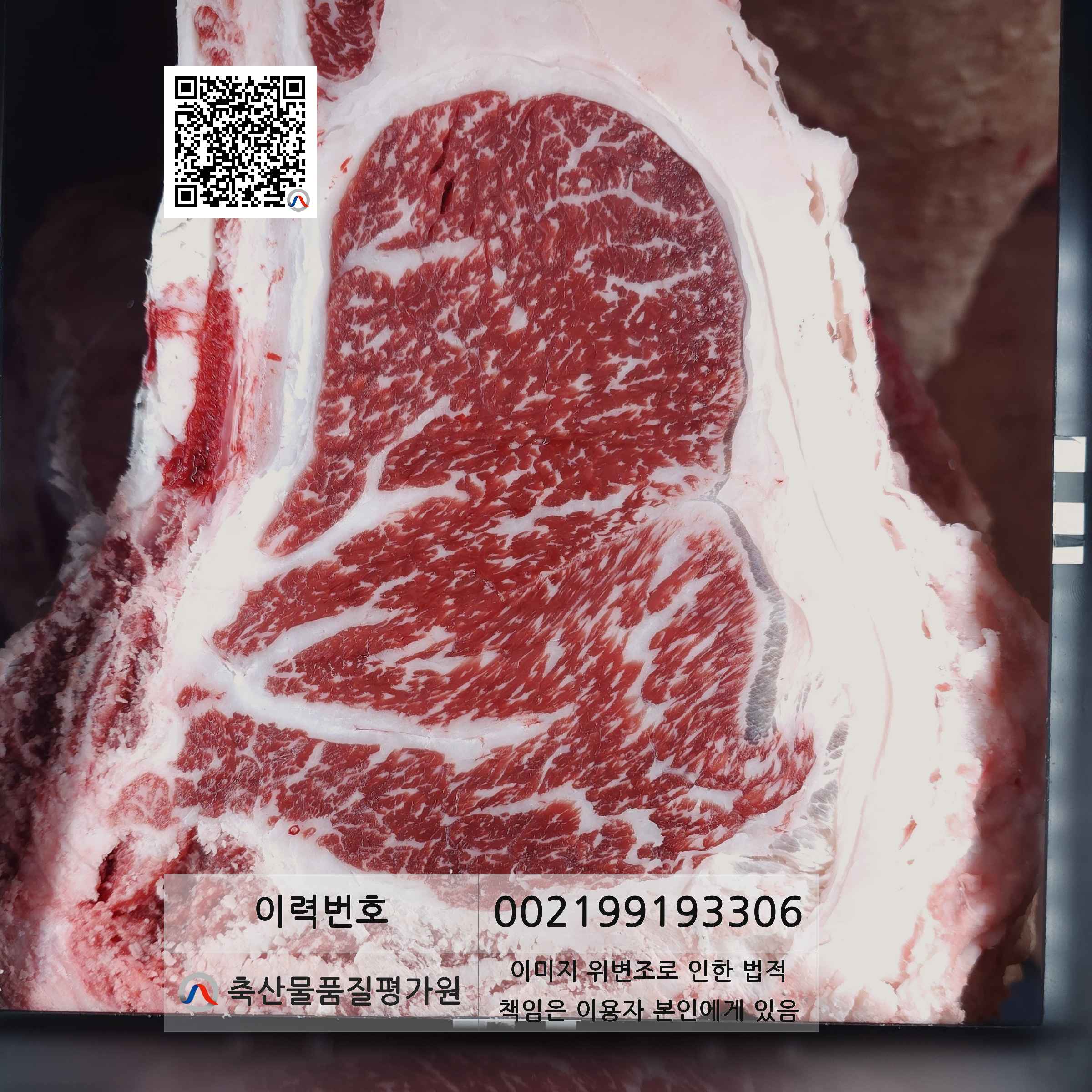 등심단면적 사진