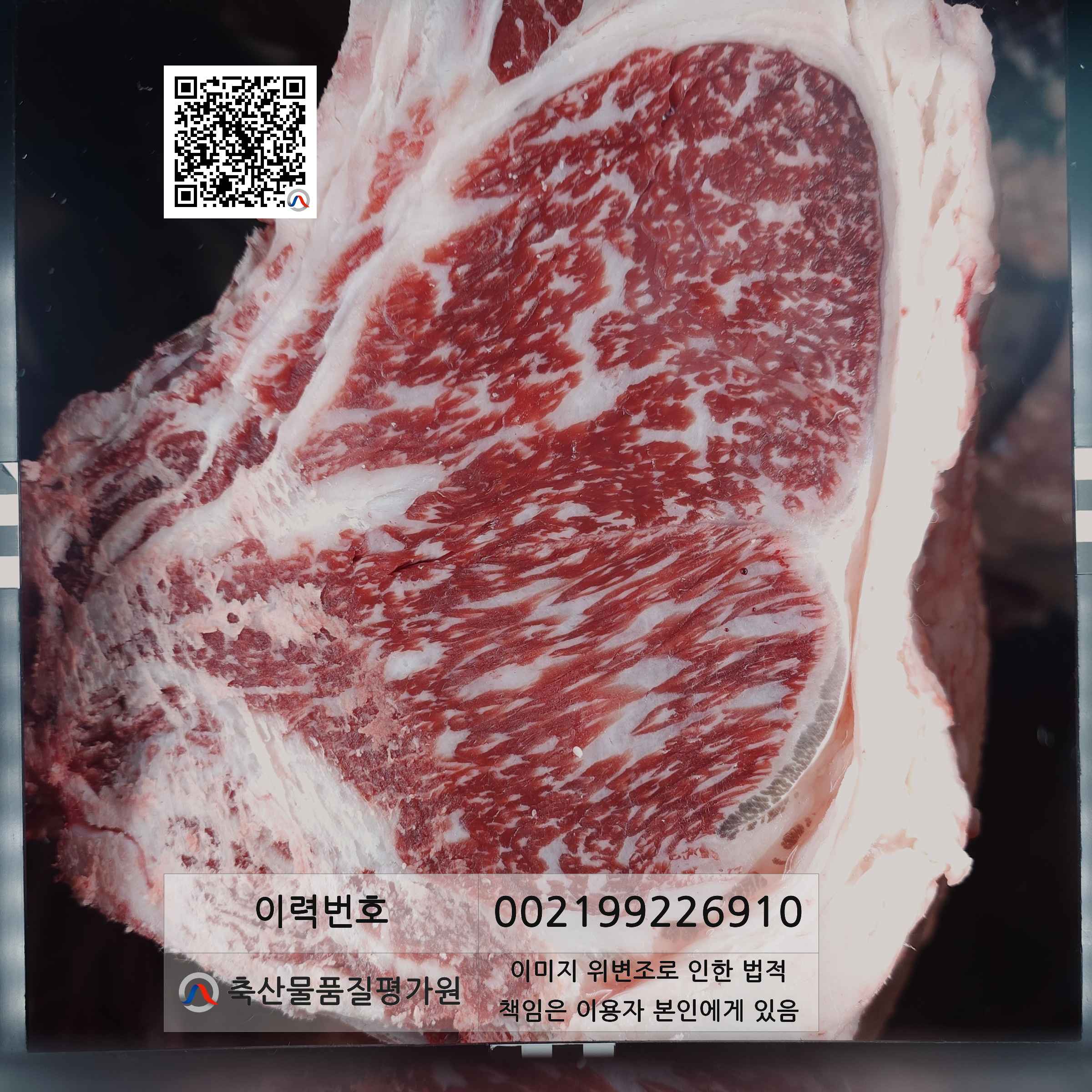 등심단면적 사진