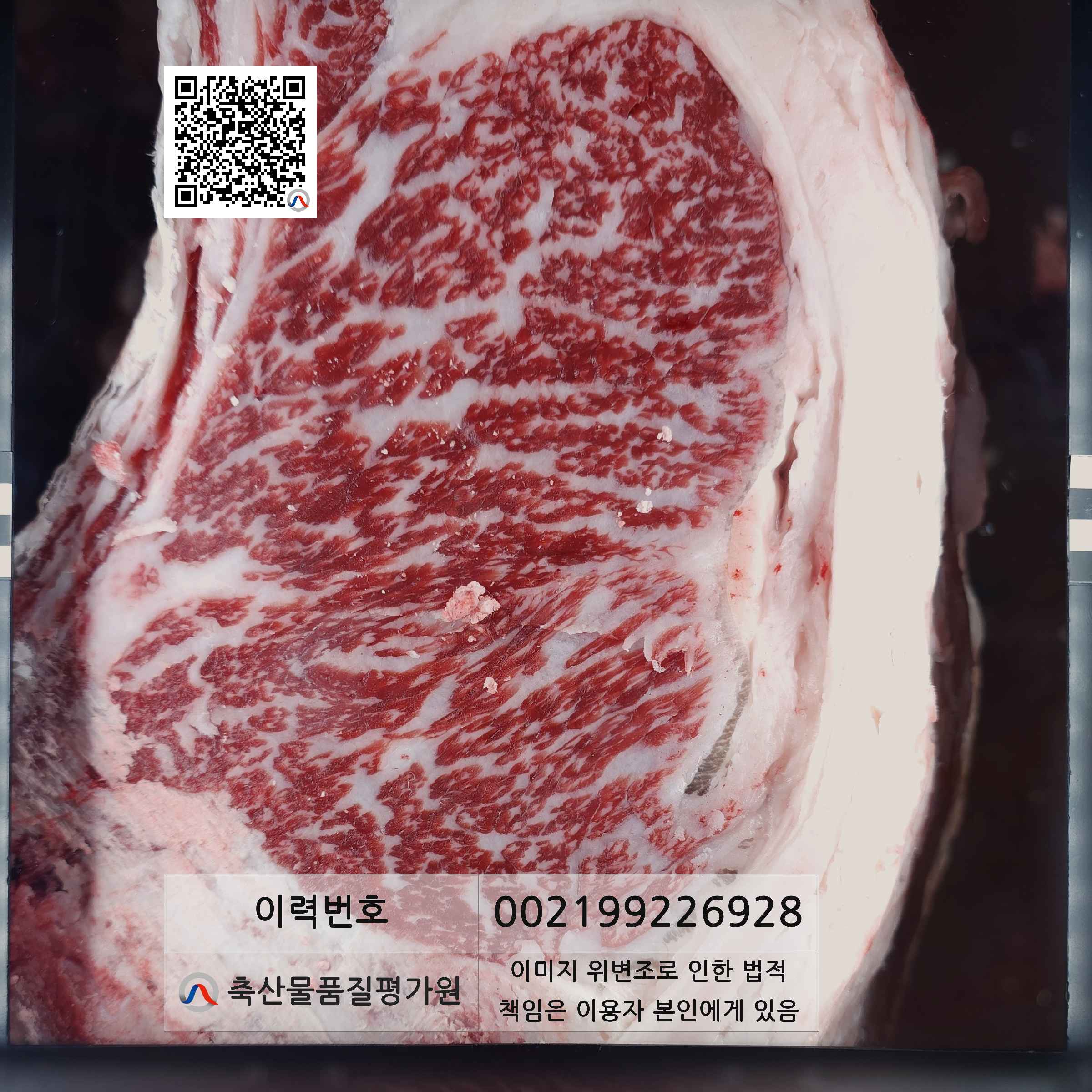 등심단면적 사진