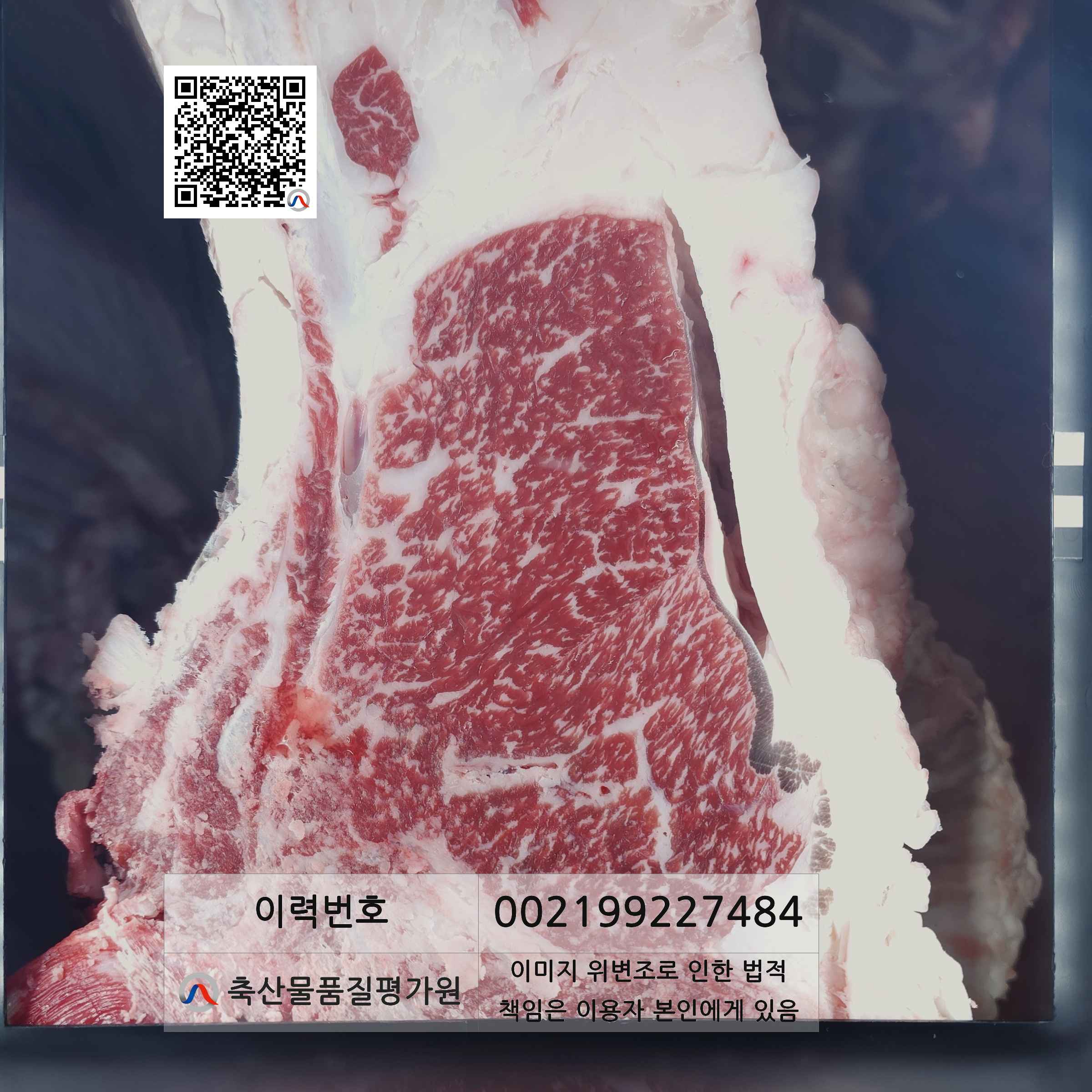 등심단면적 사진