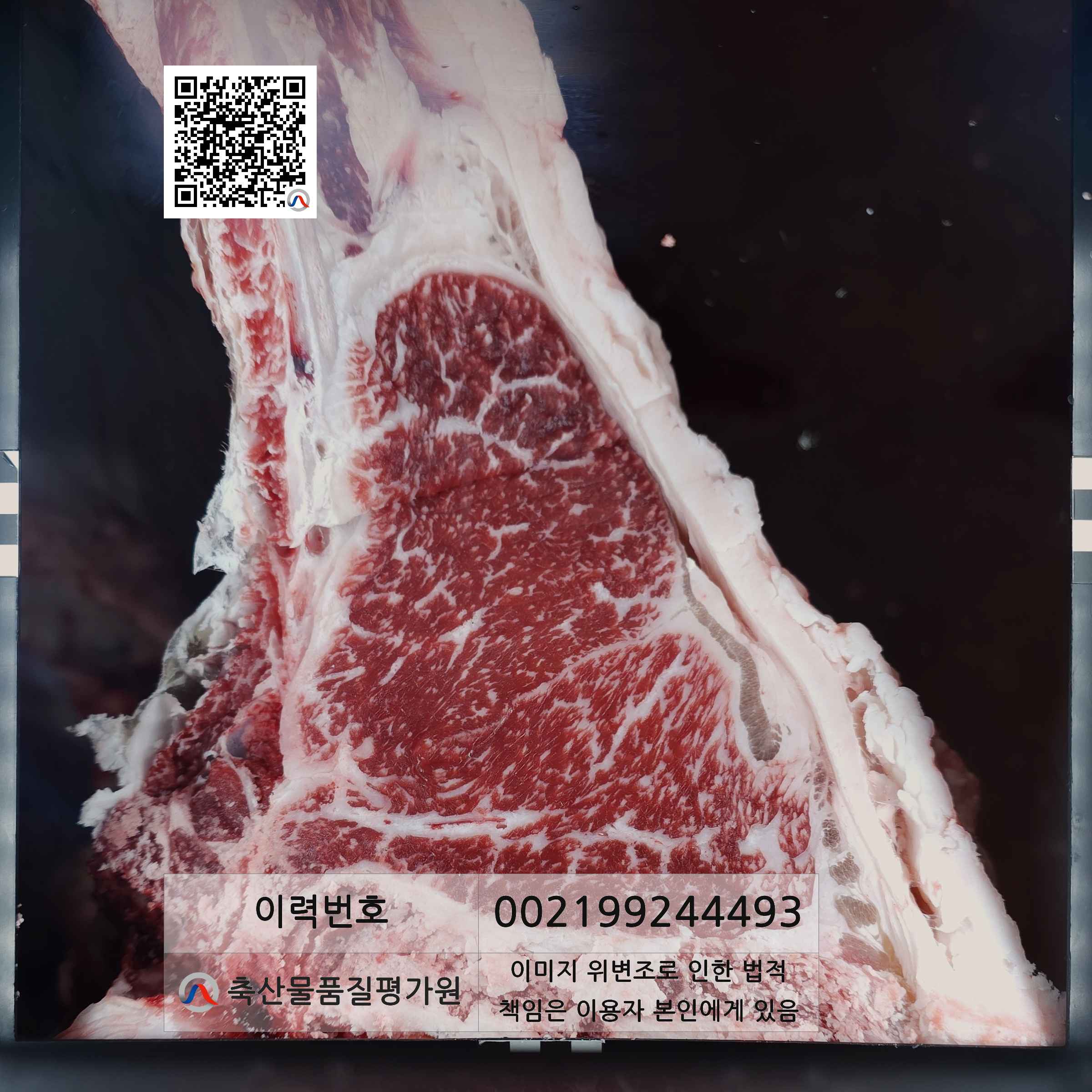 등심단면적 사진