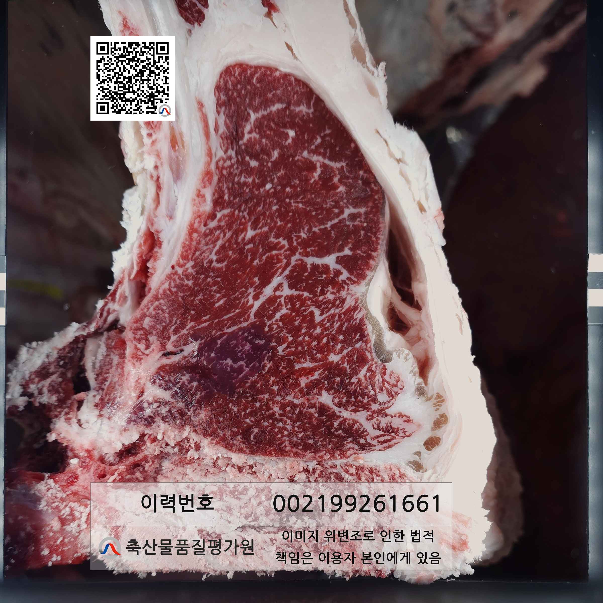 등심단면적 사진