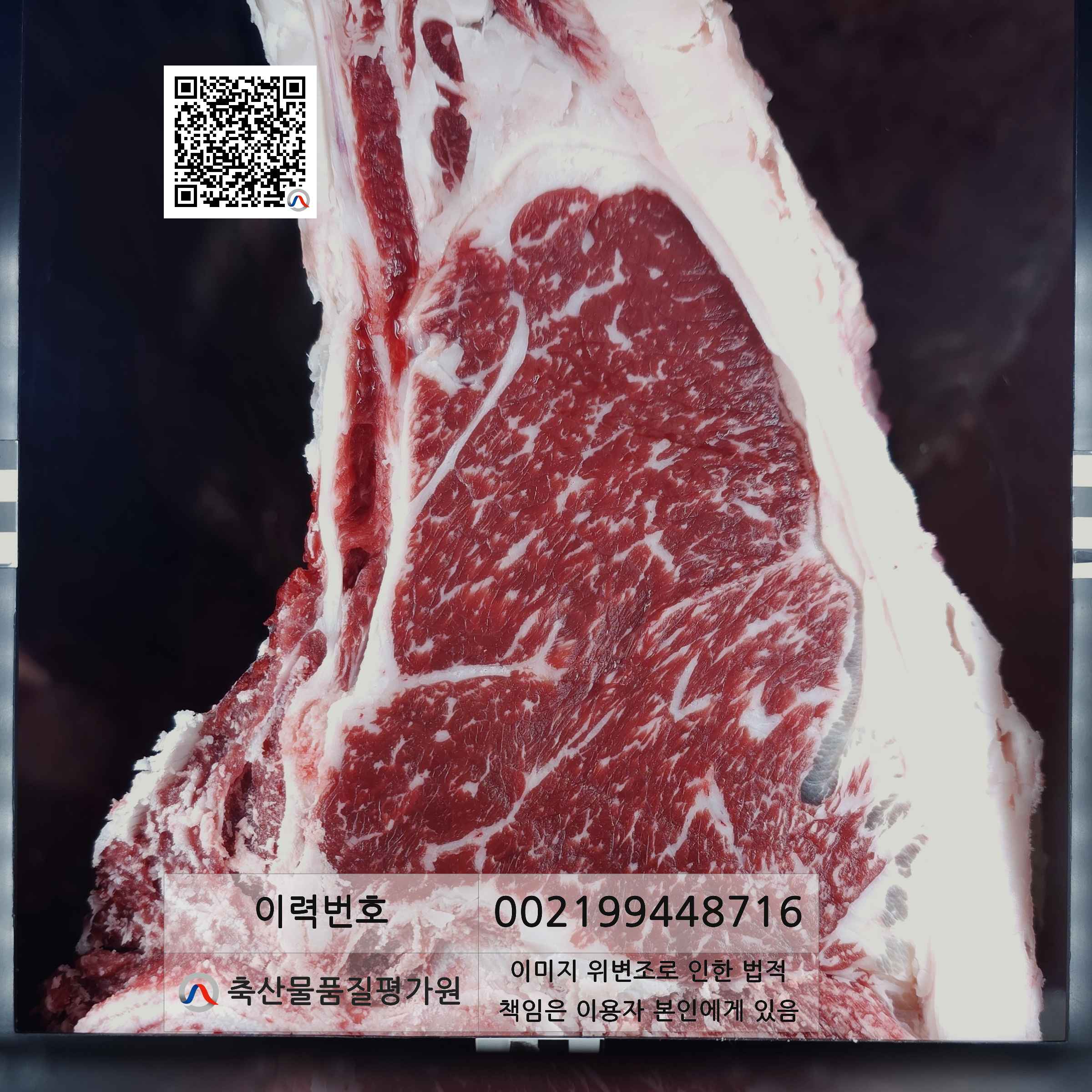 등심단면적 사진