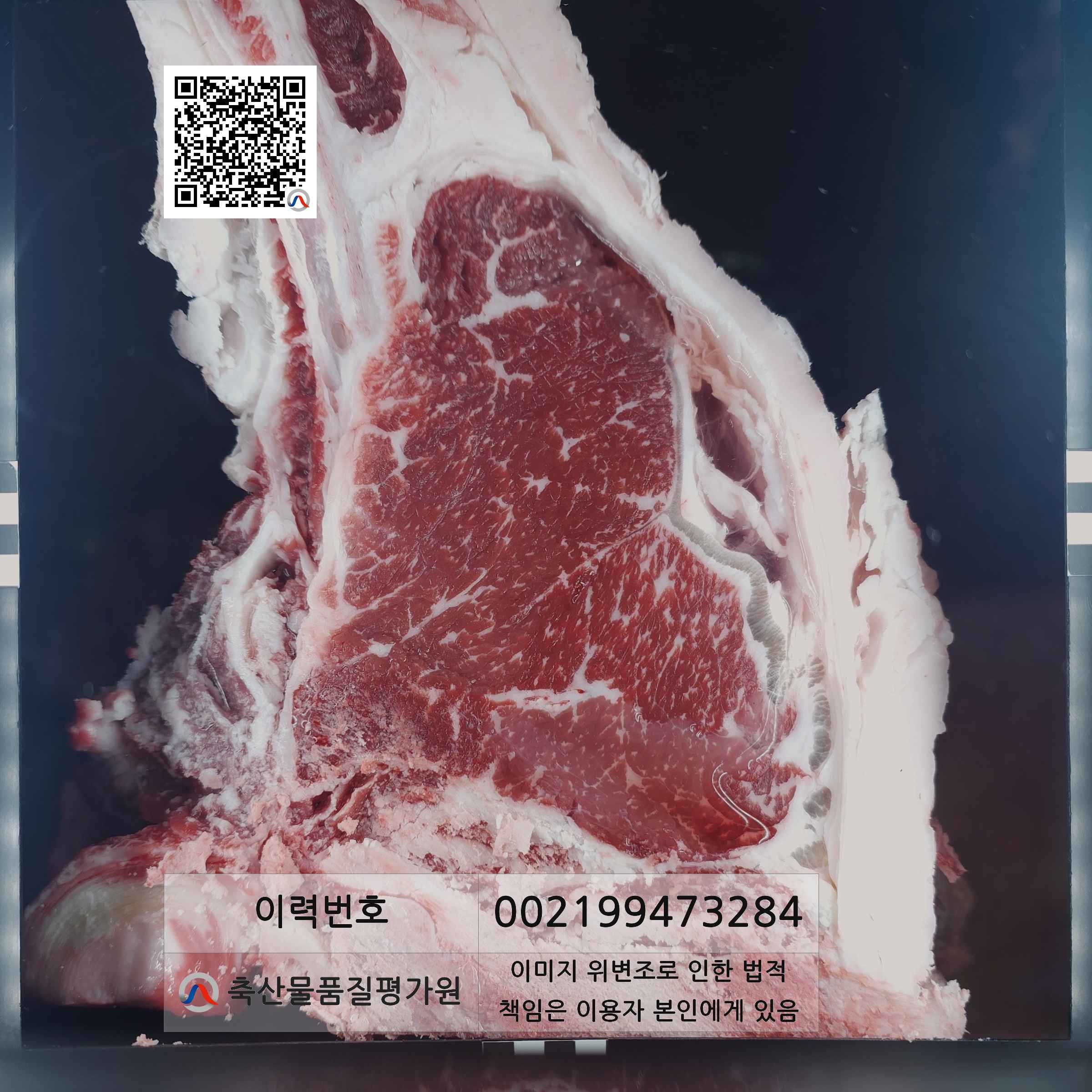 등심단면적 사진