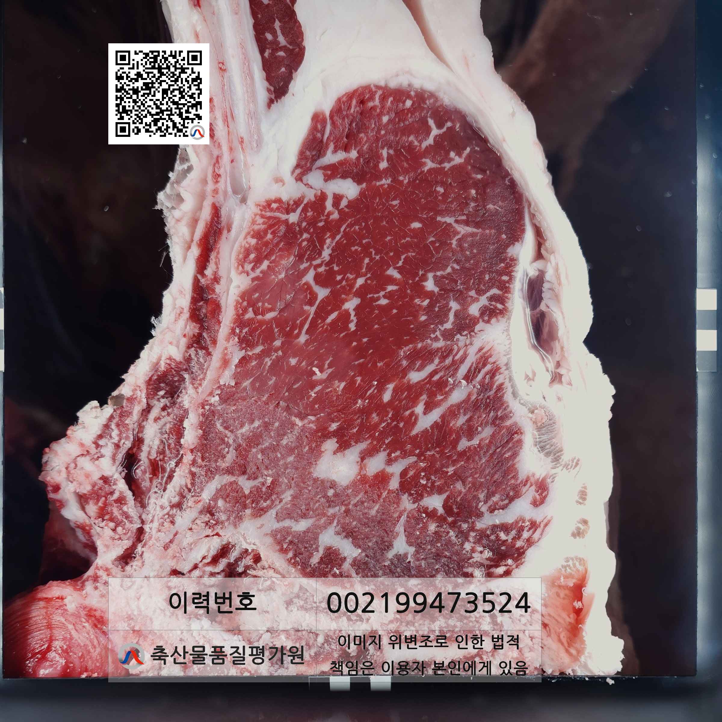 등심단면적 사진