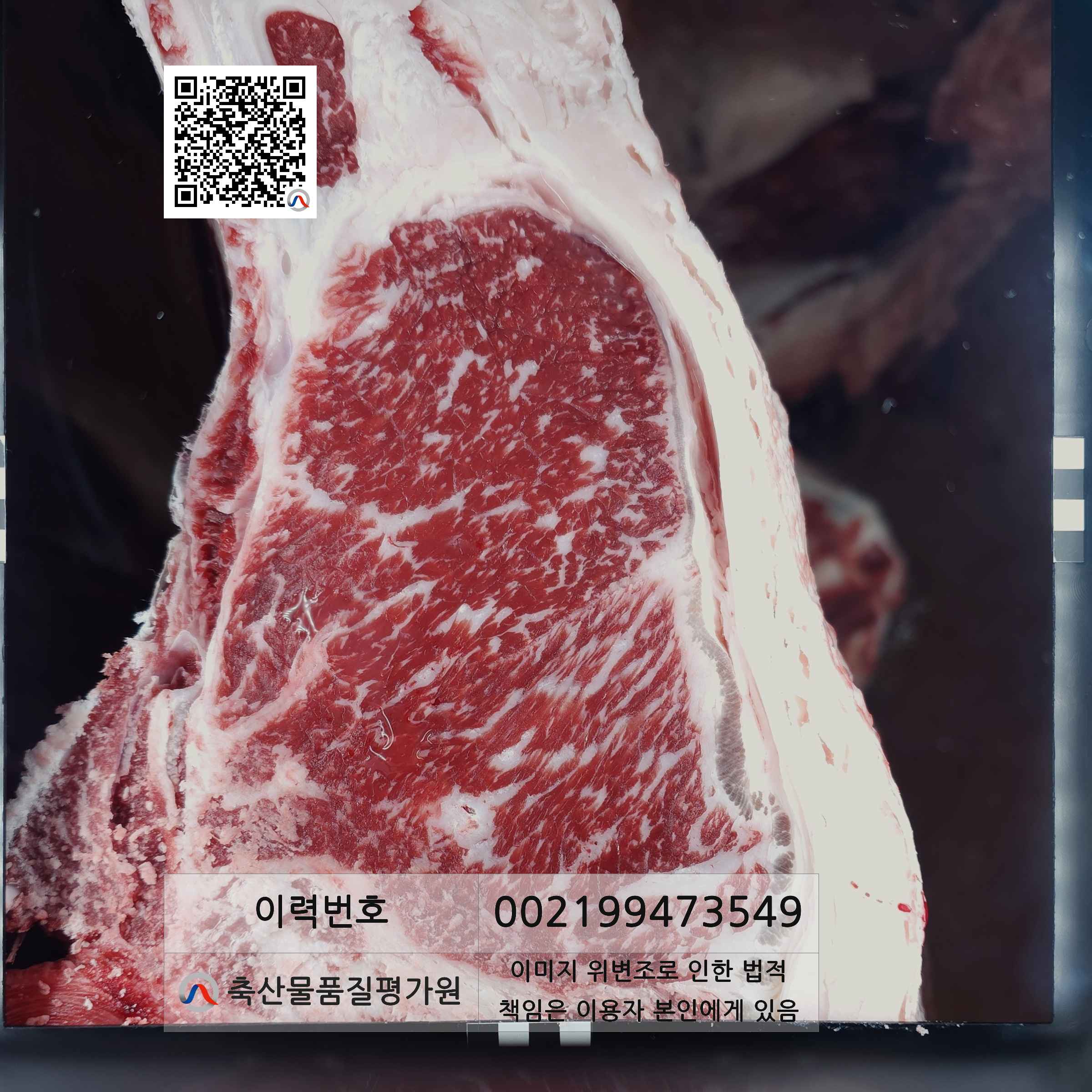 등심단면적 사진