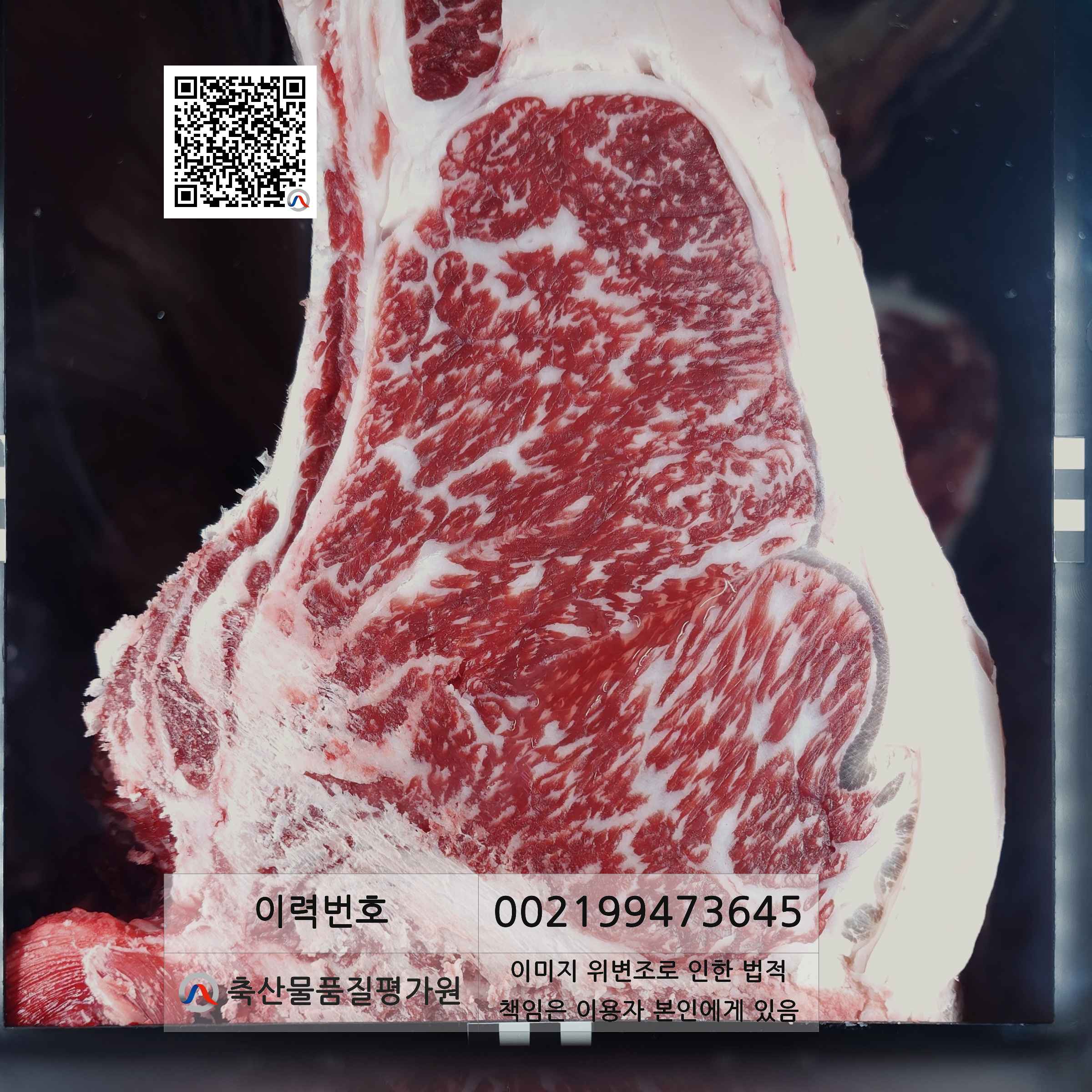 등심단면적 사진