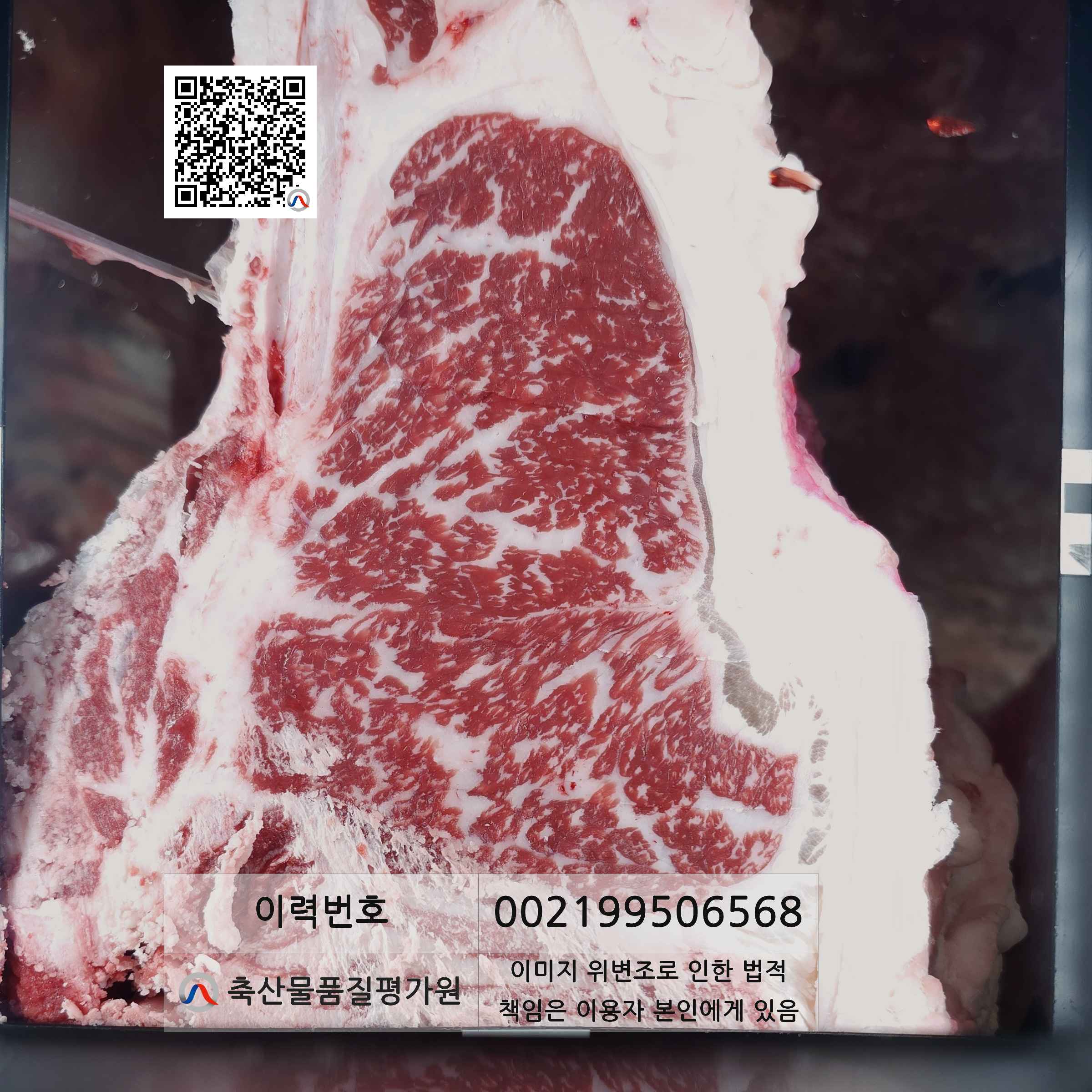 등심단면적 사진