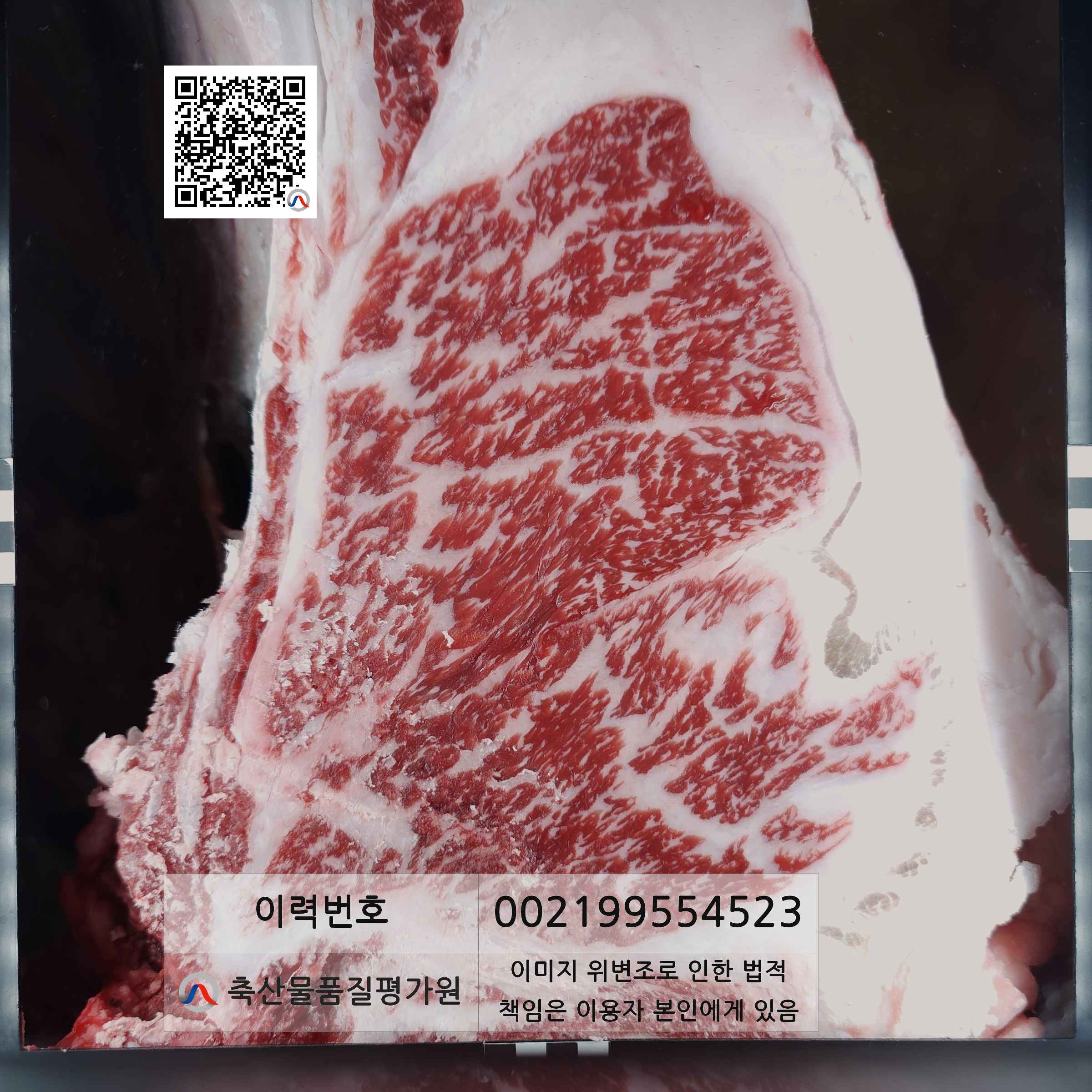 등심단면적 사진