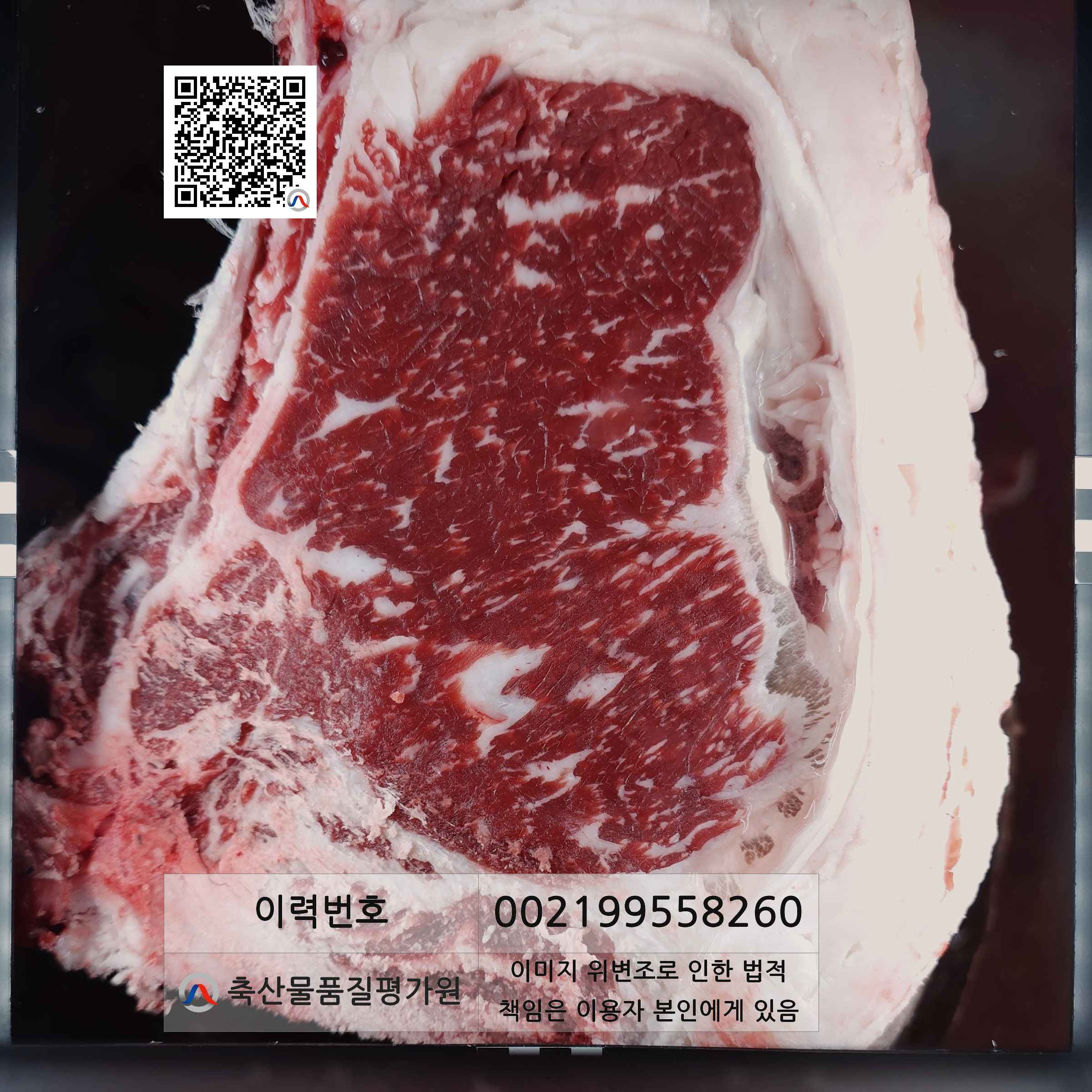 등심단면적 사진