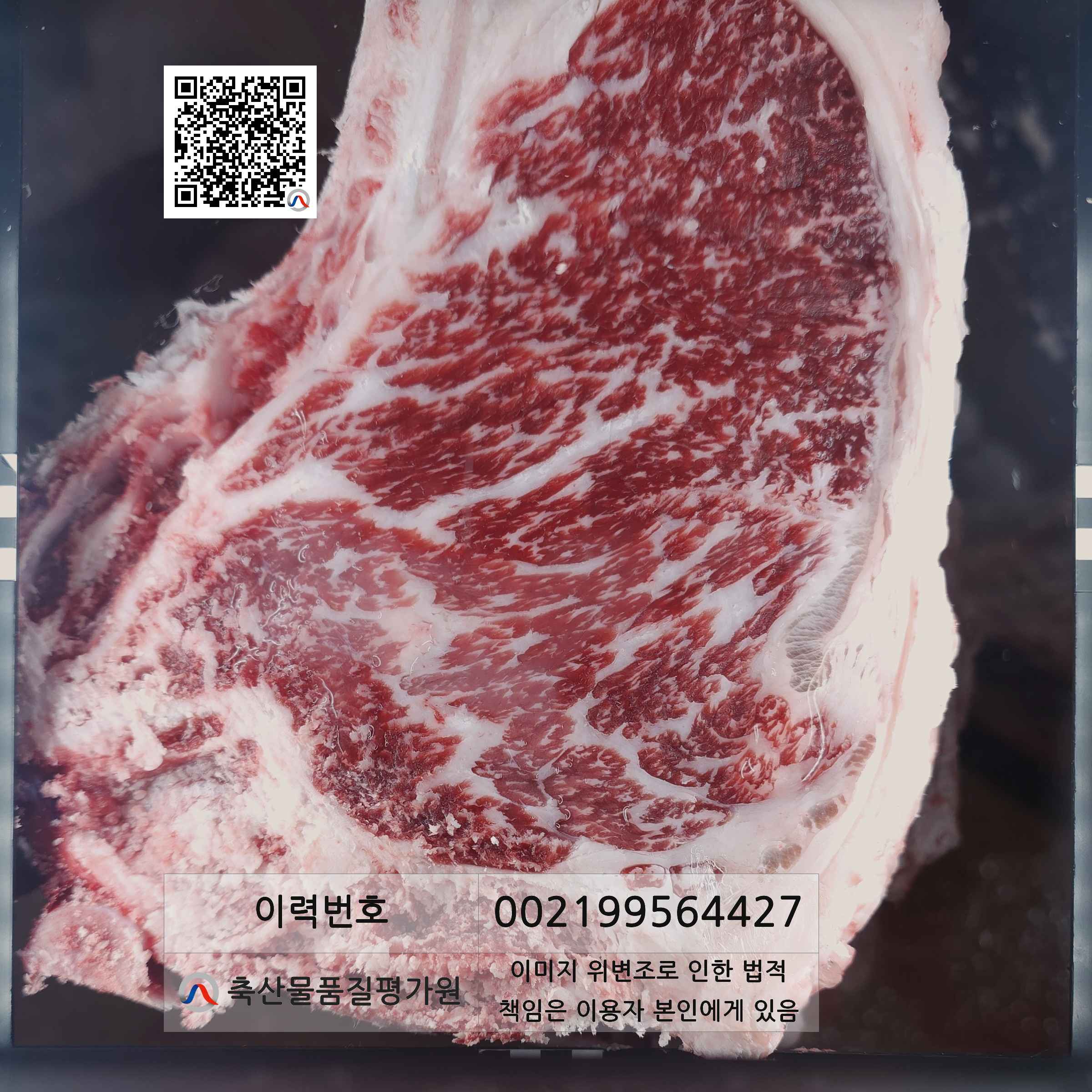 등심단면적 사진