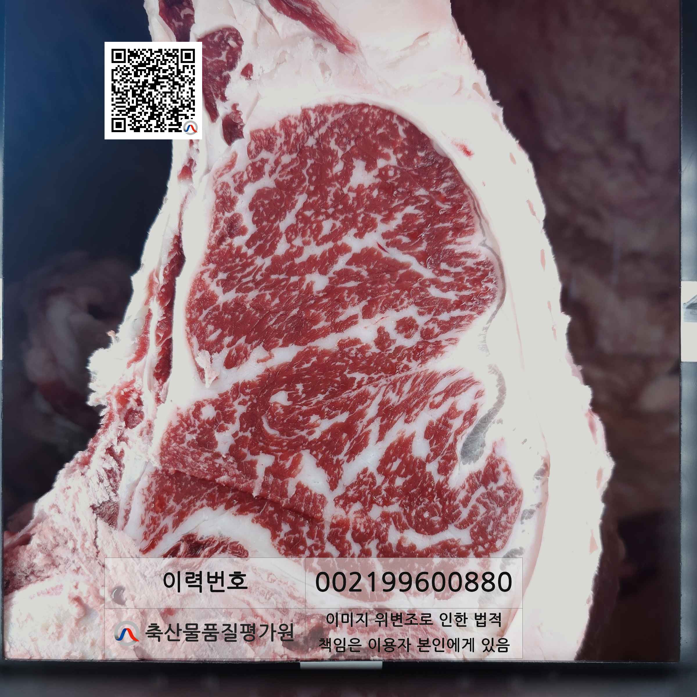 등심단면적 사진