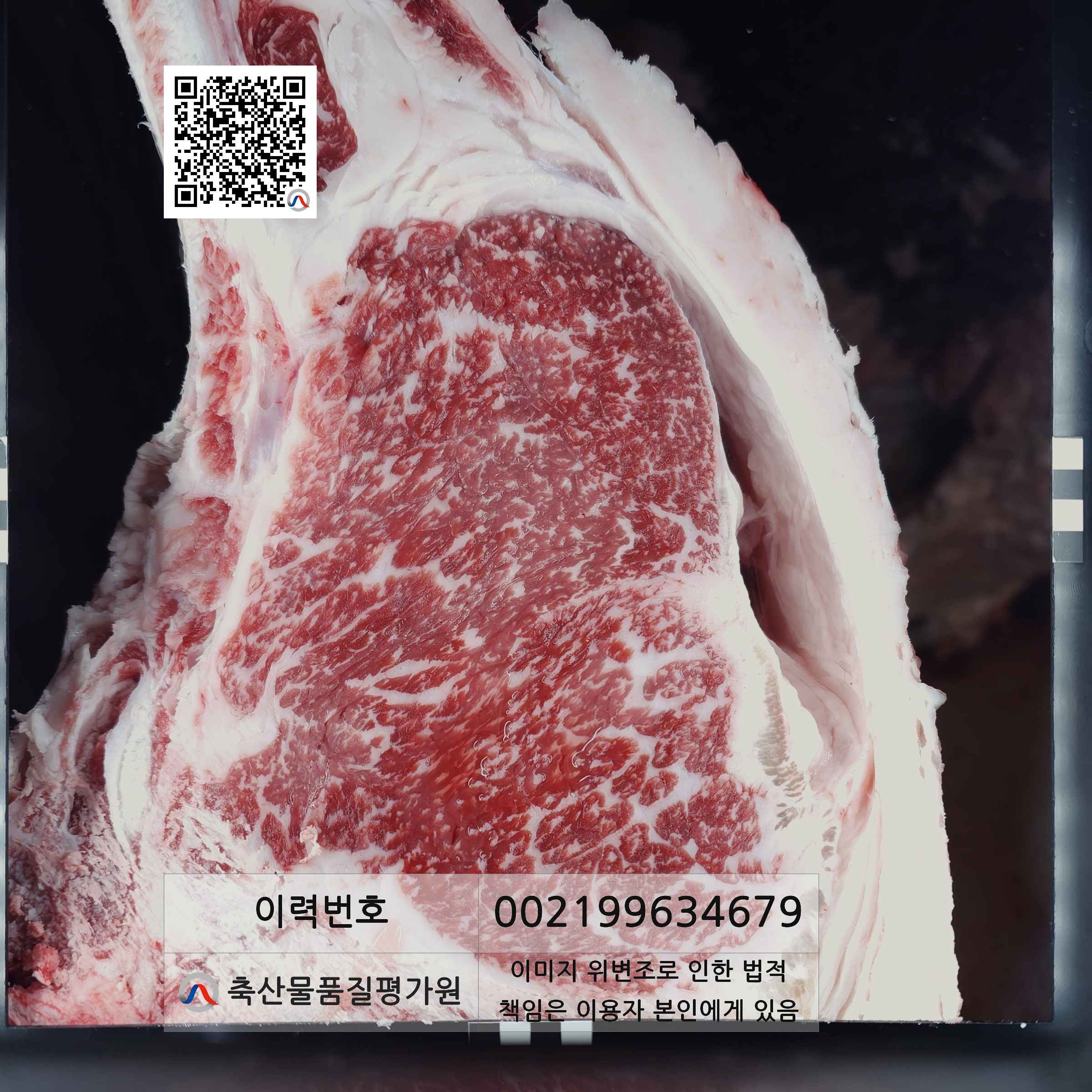 등심단면적 사진
