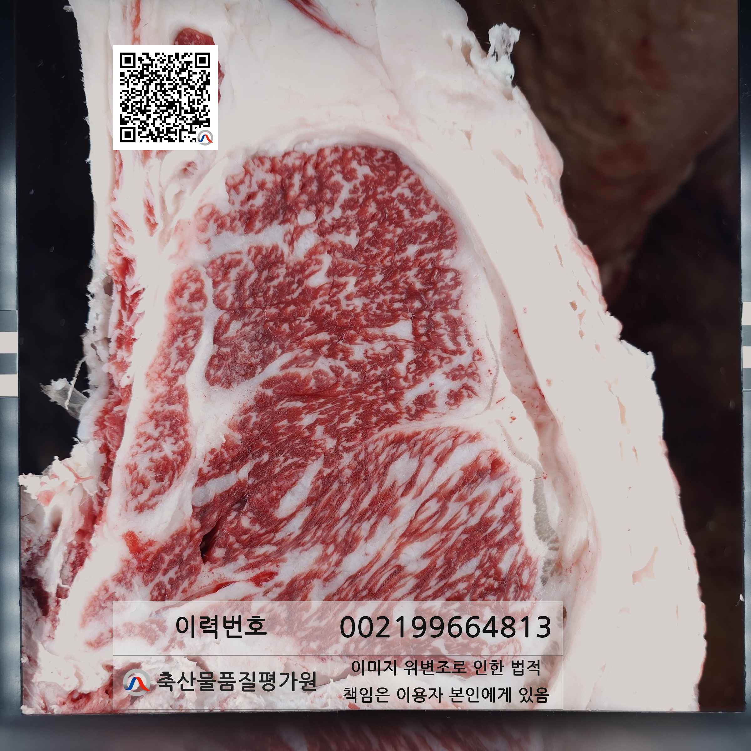 등심단면적 사진