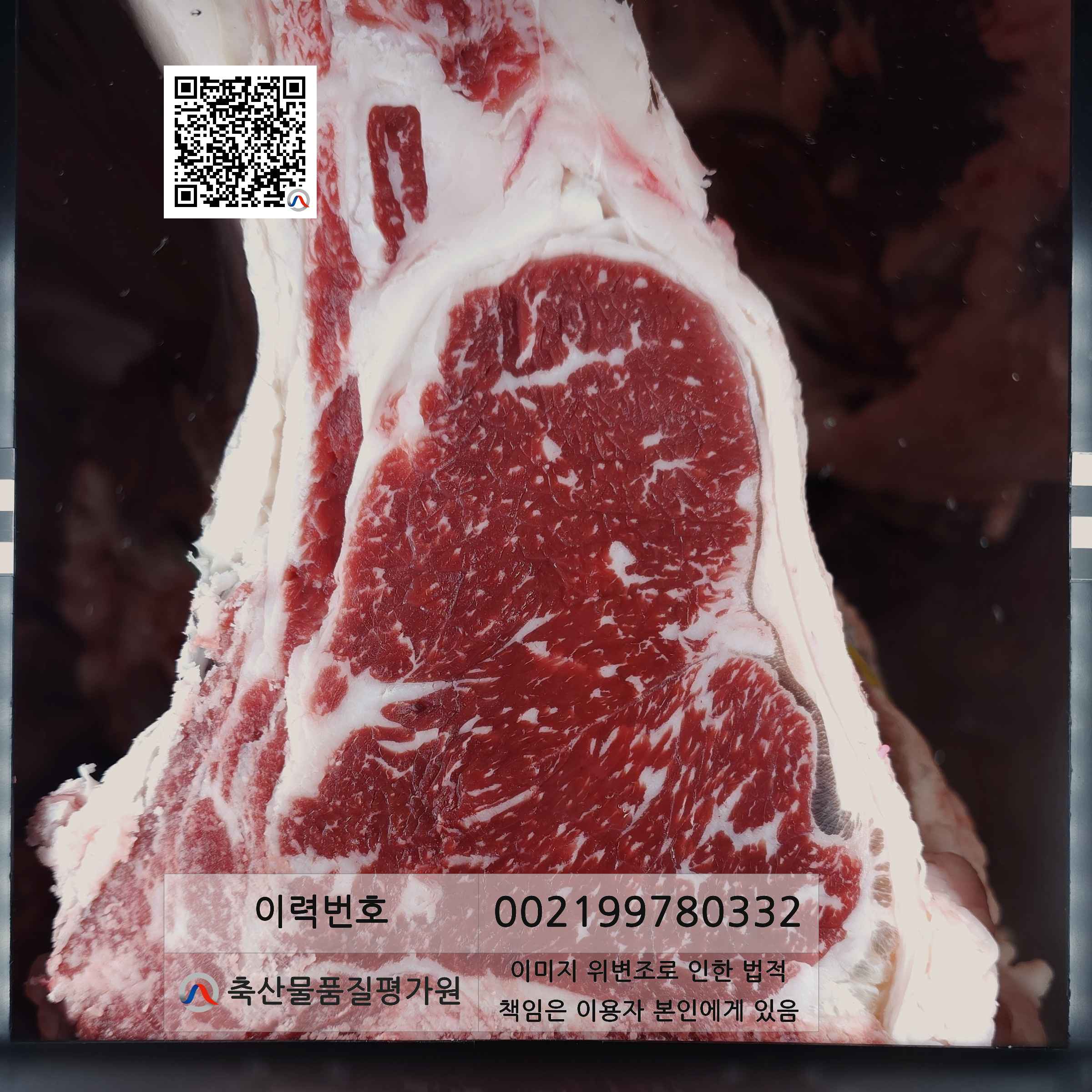 등심단면적 사진