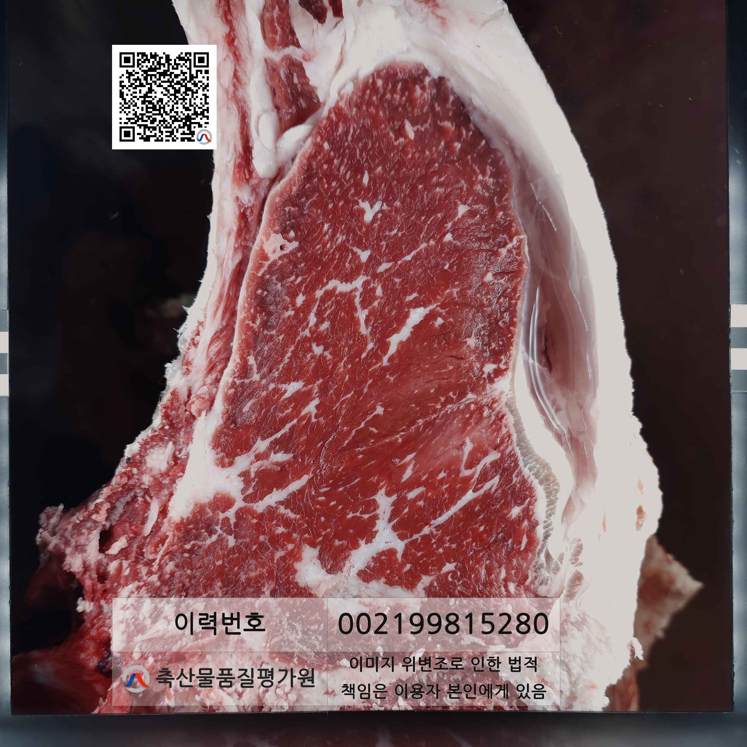 등심단면적 사진