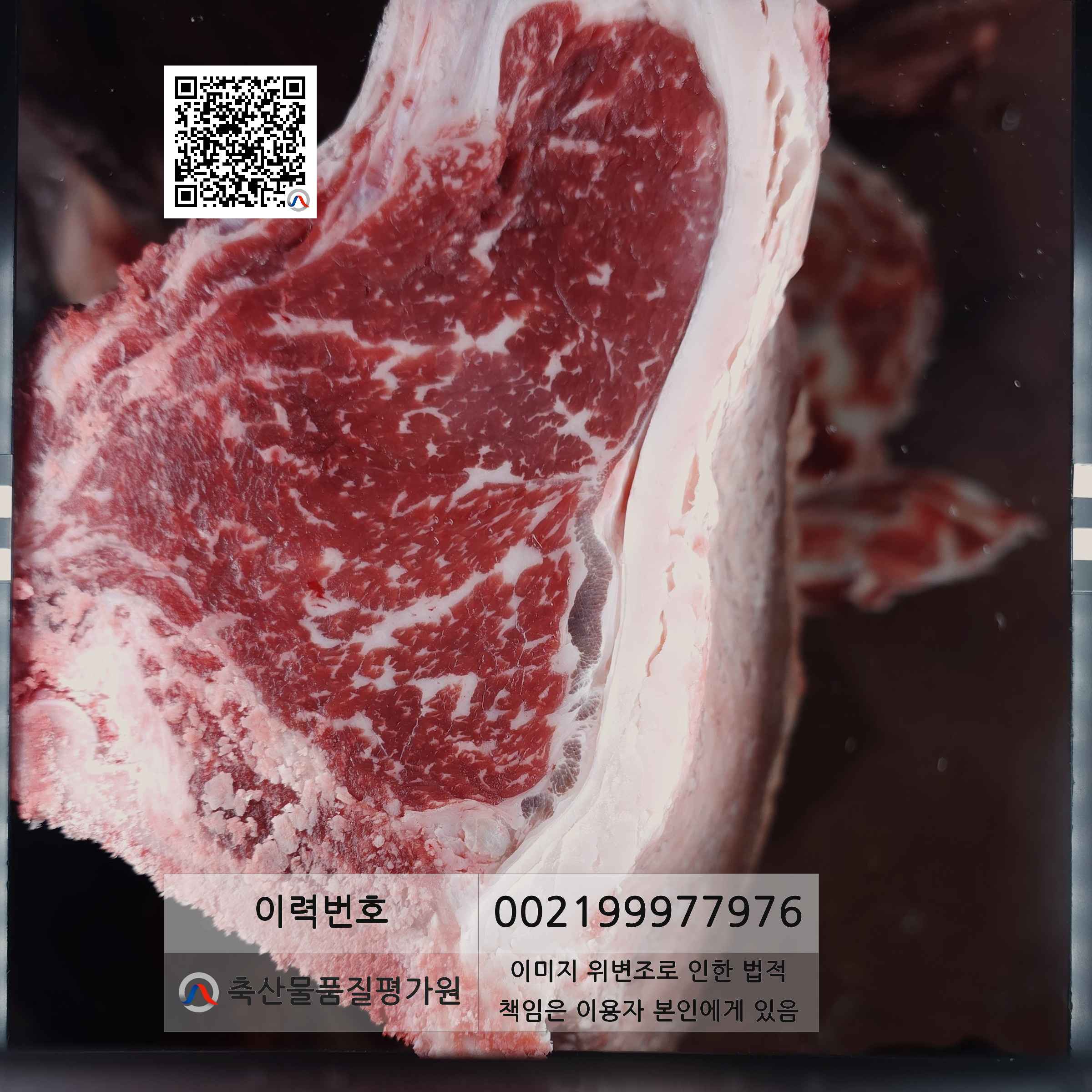 등심단면적 사진