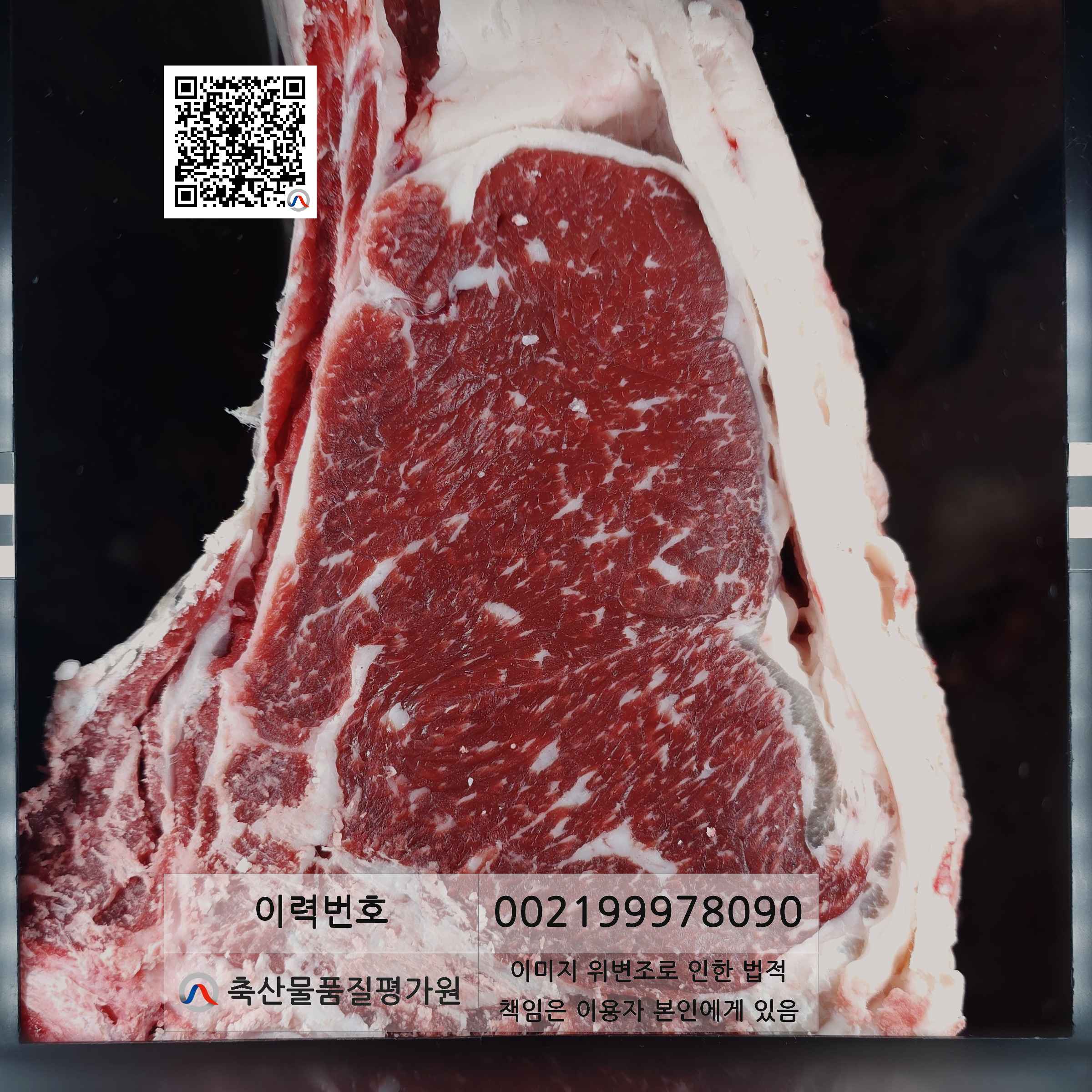 등심단면적 사진