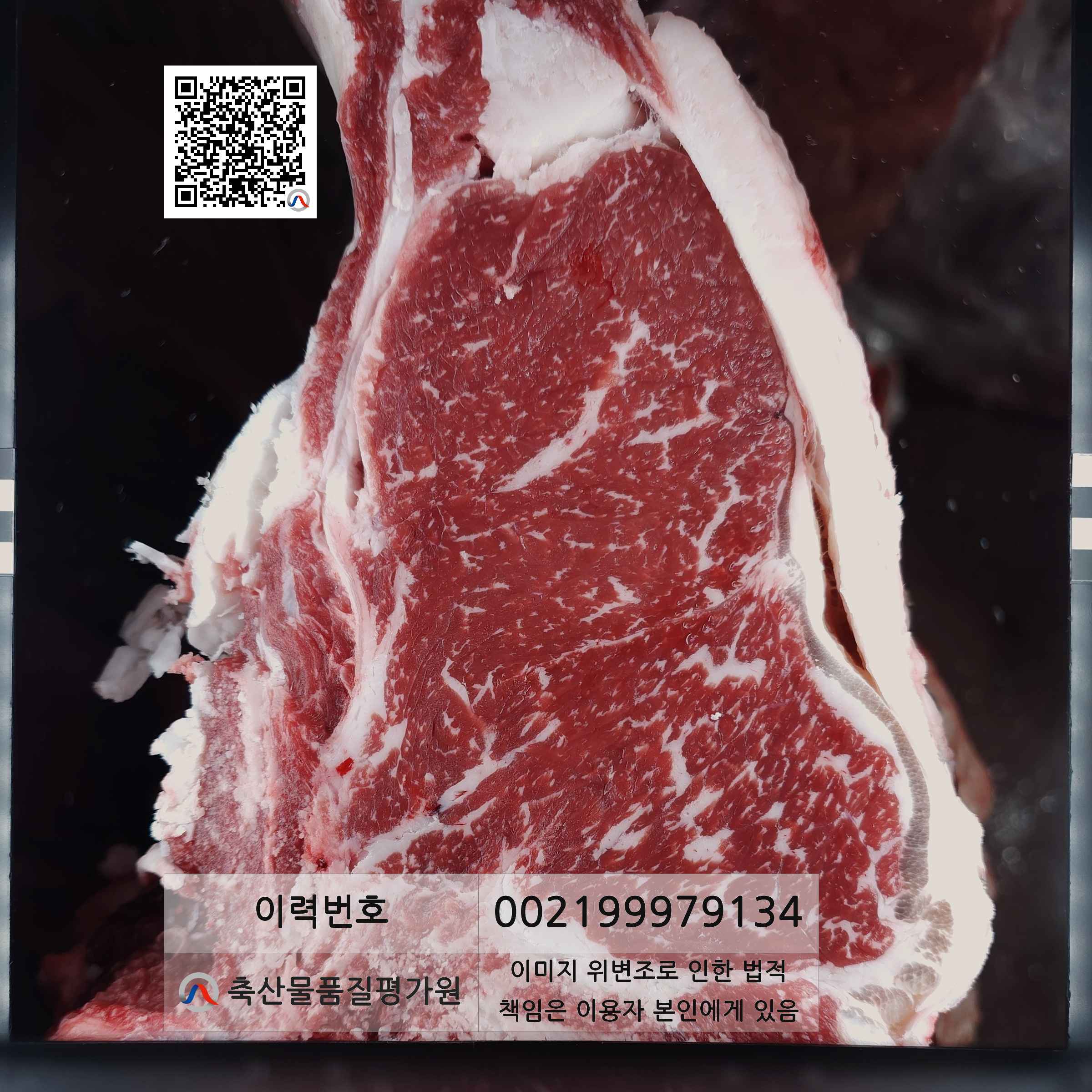 등심단면적 사진