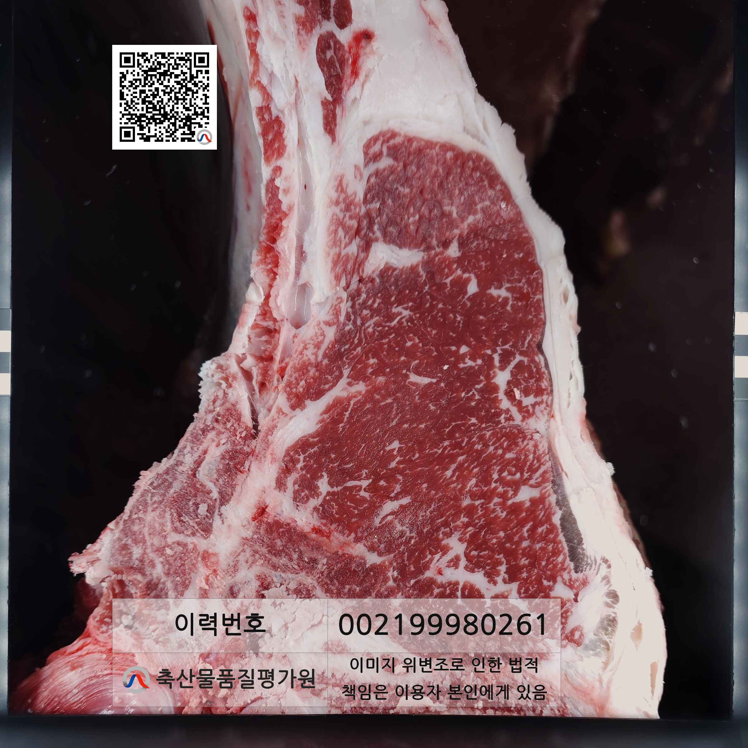 등심단면적 사진