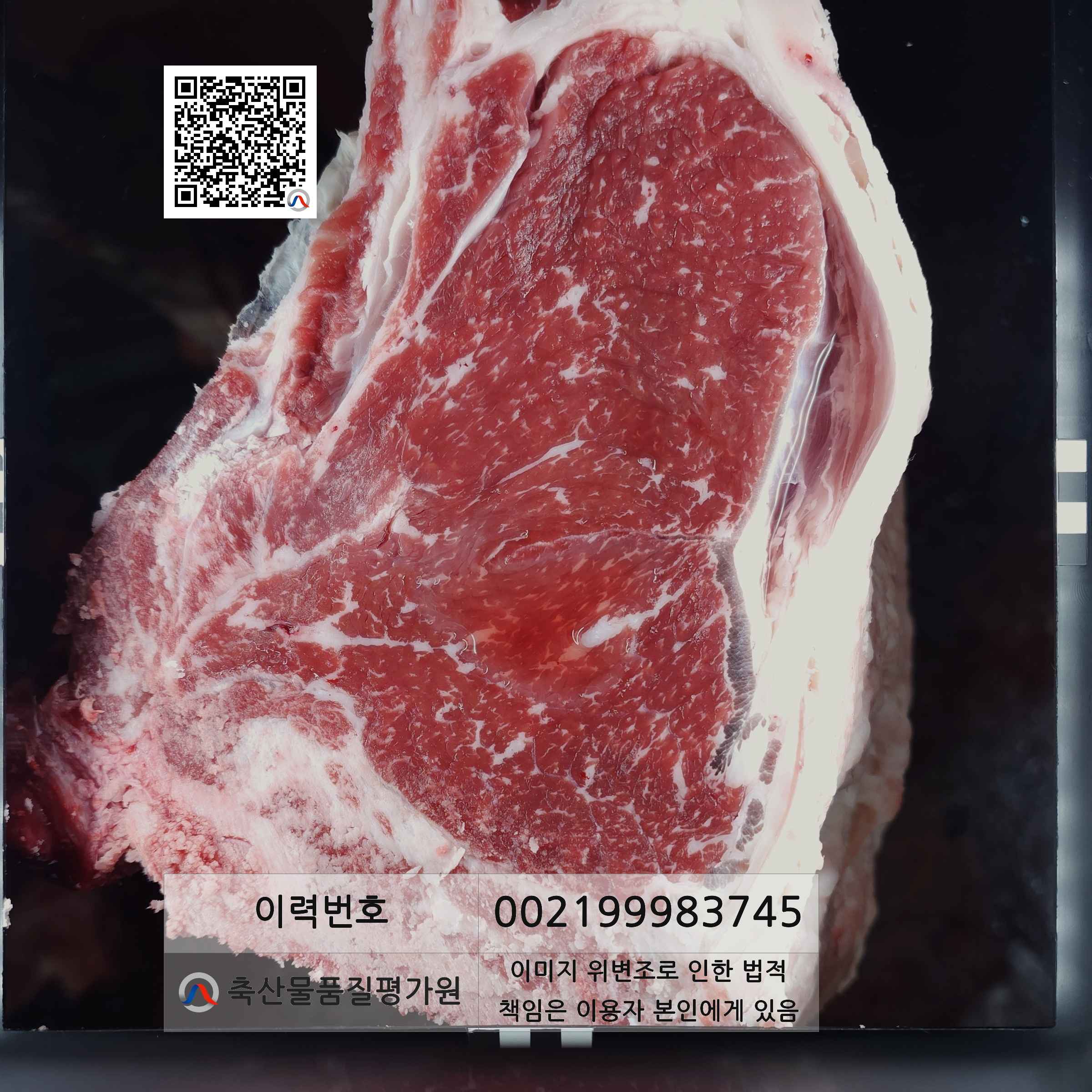 등심단면적 사진