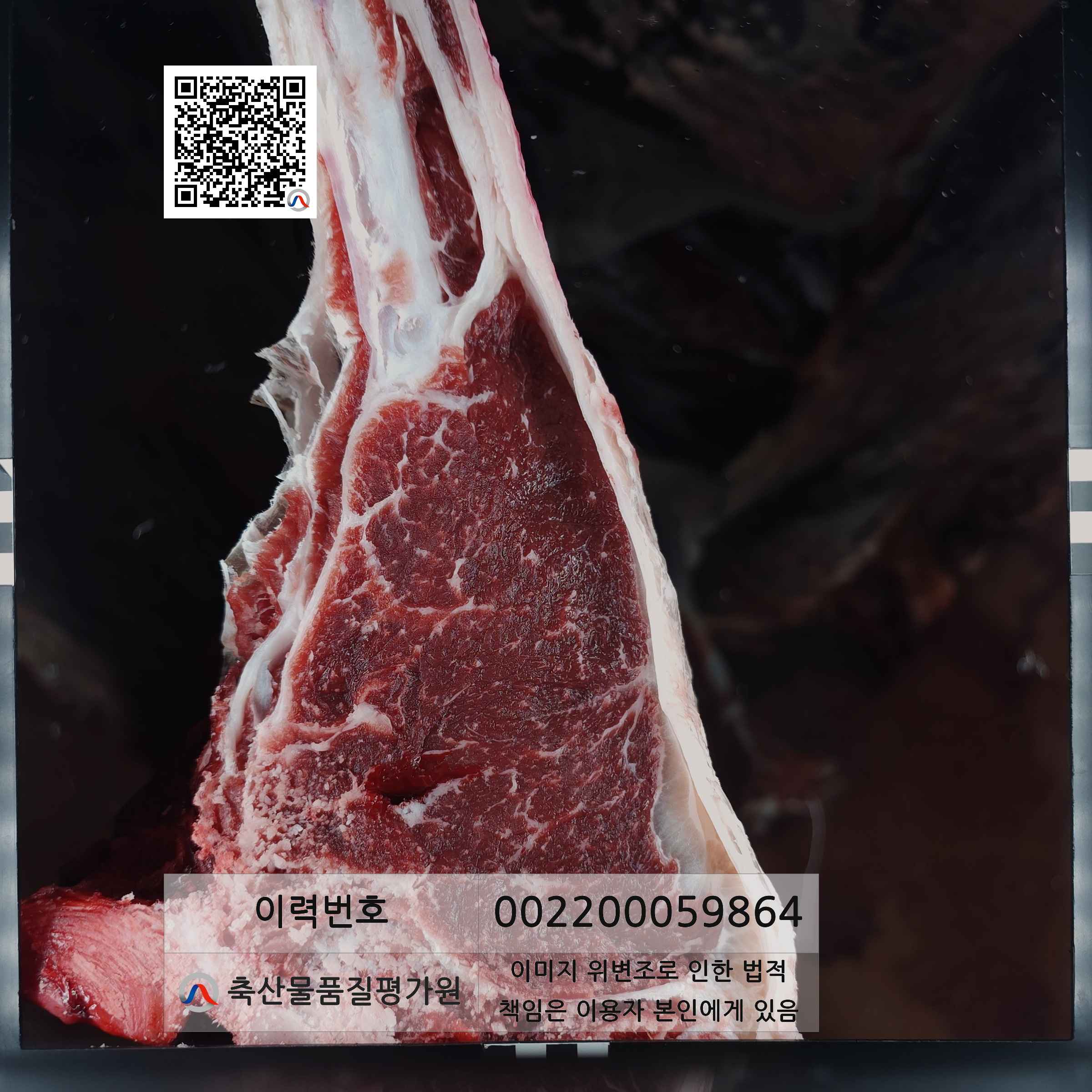 등심단면적 사진