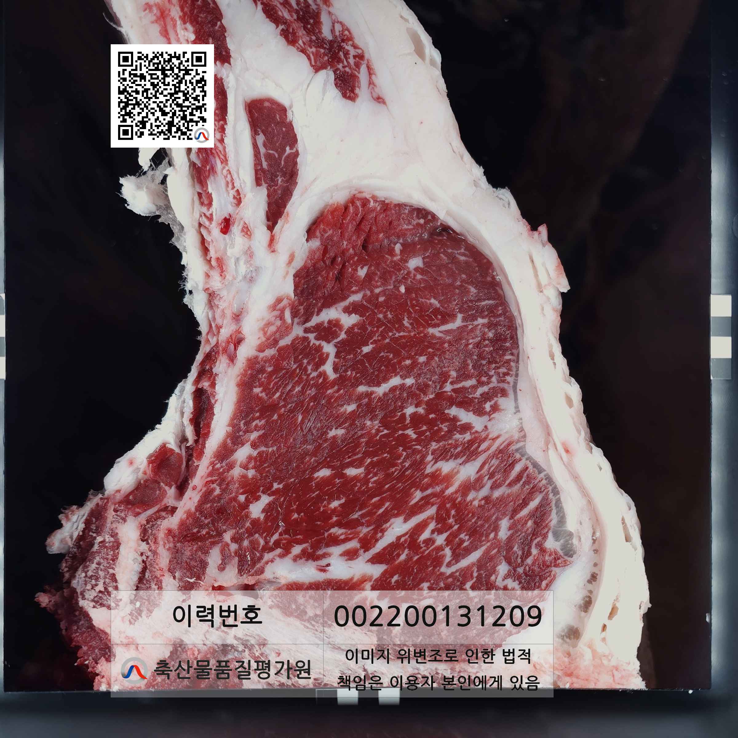 등심단면적 사진