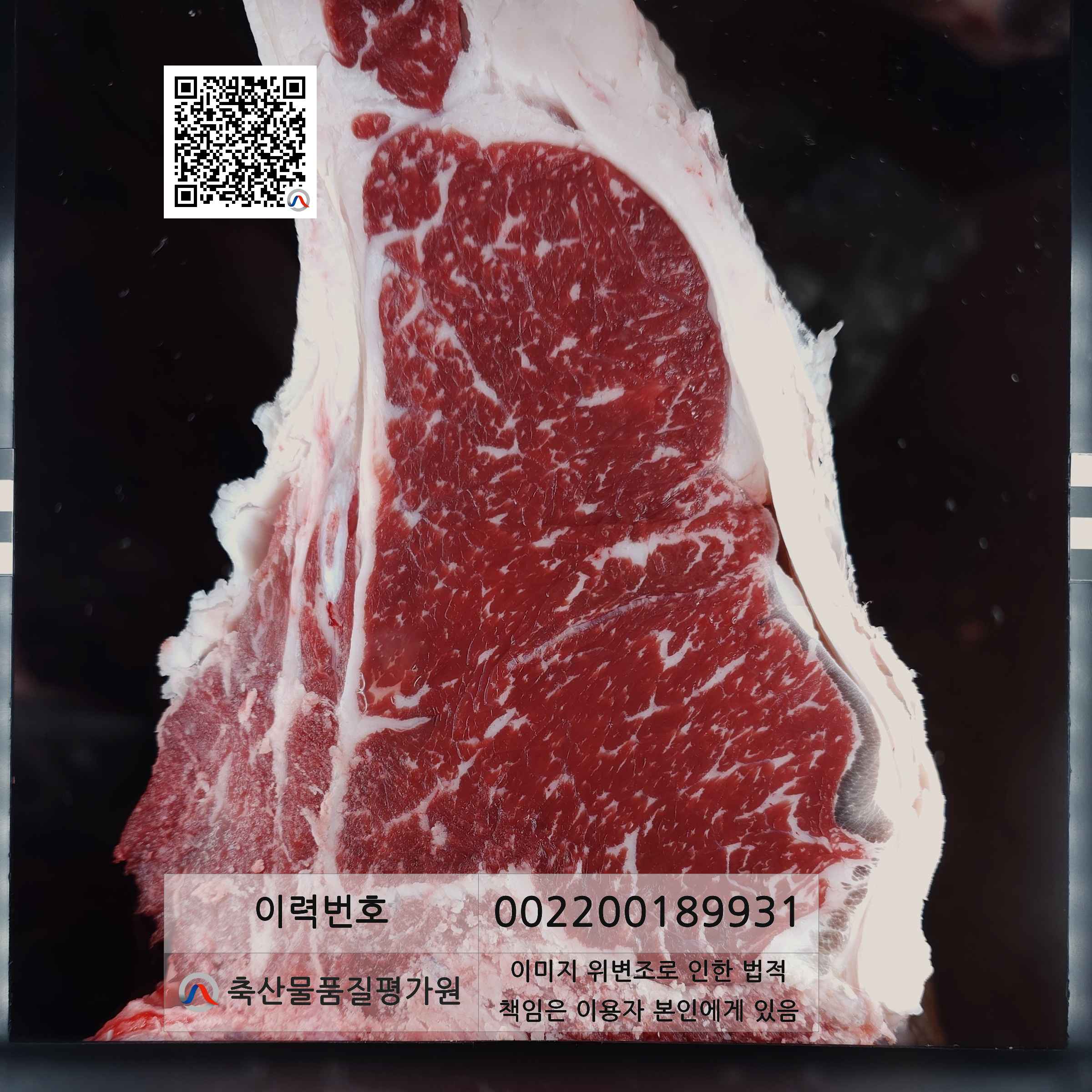 등심단면적 사진