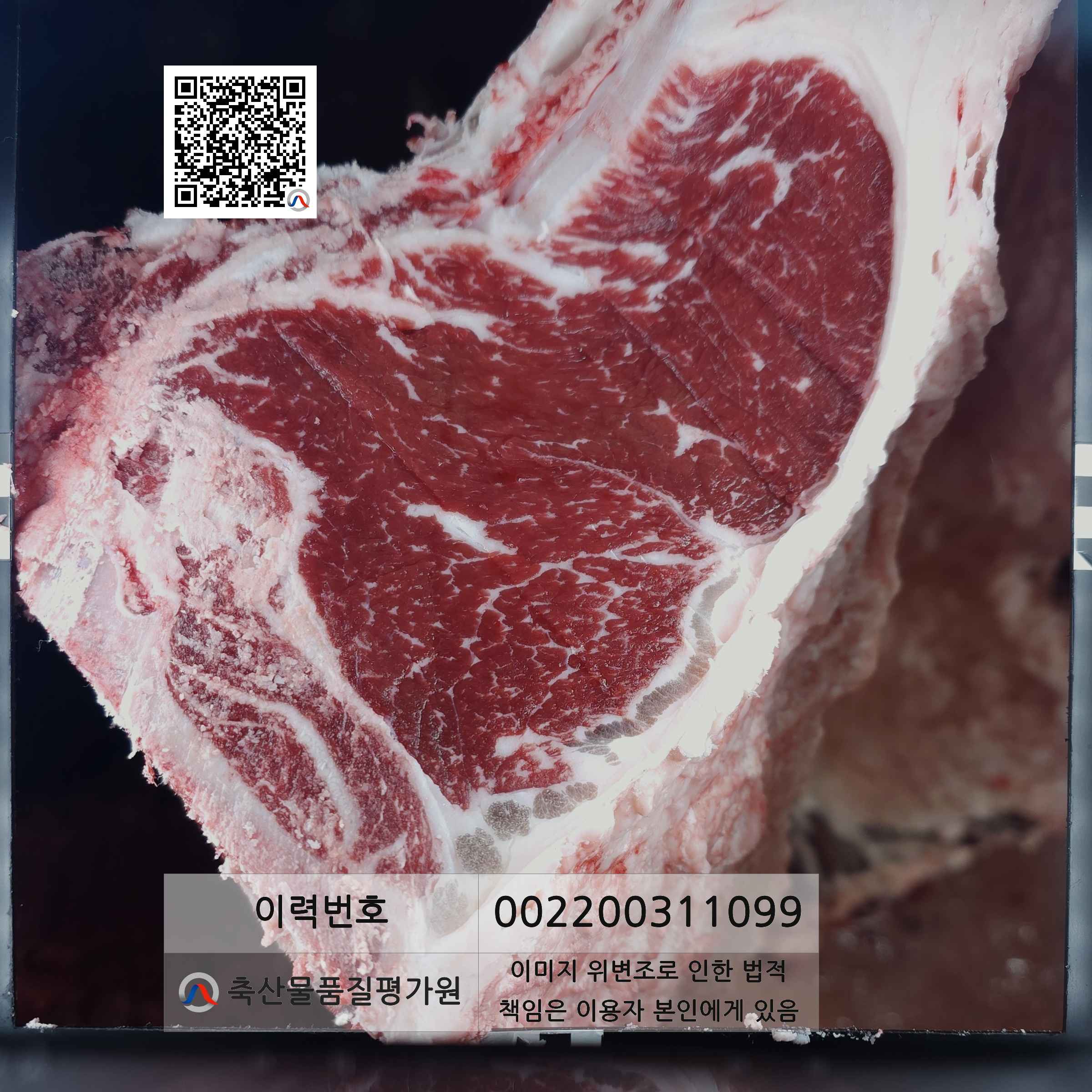 등심단면적 사진