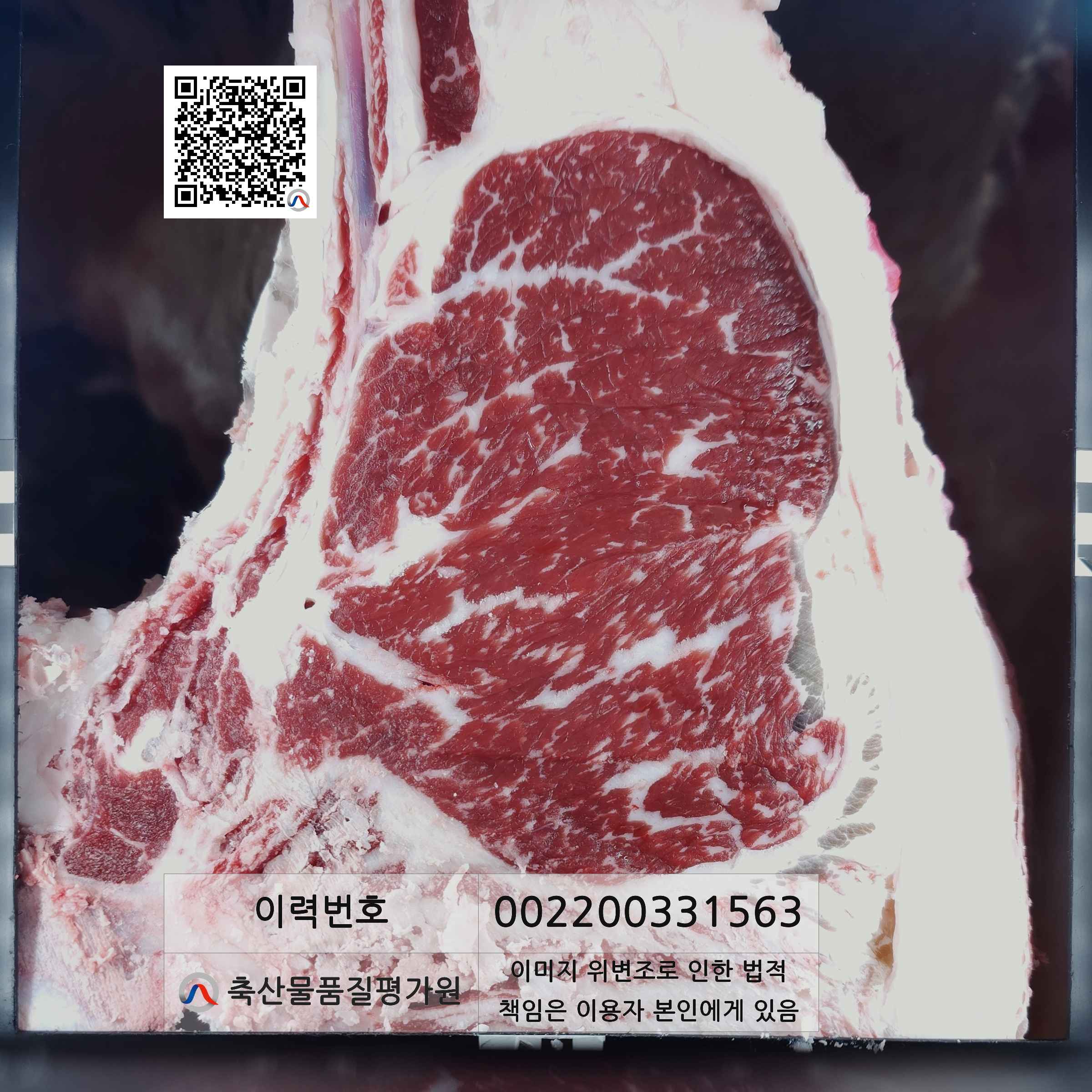 등심단면적 사진