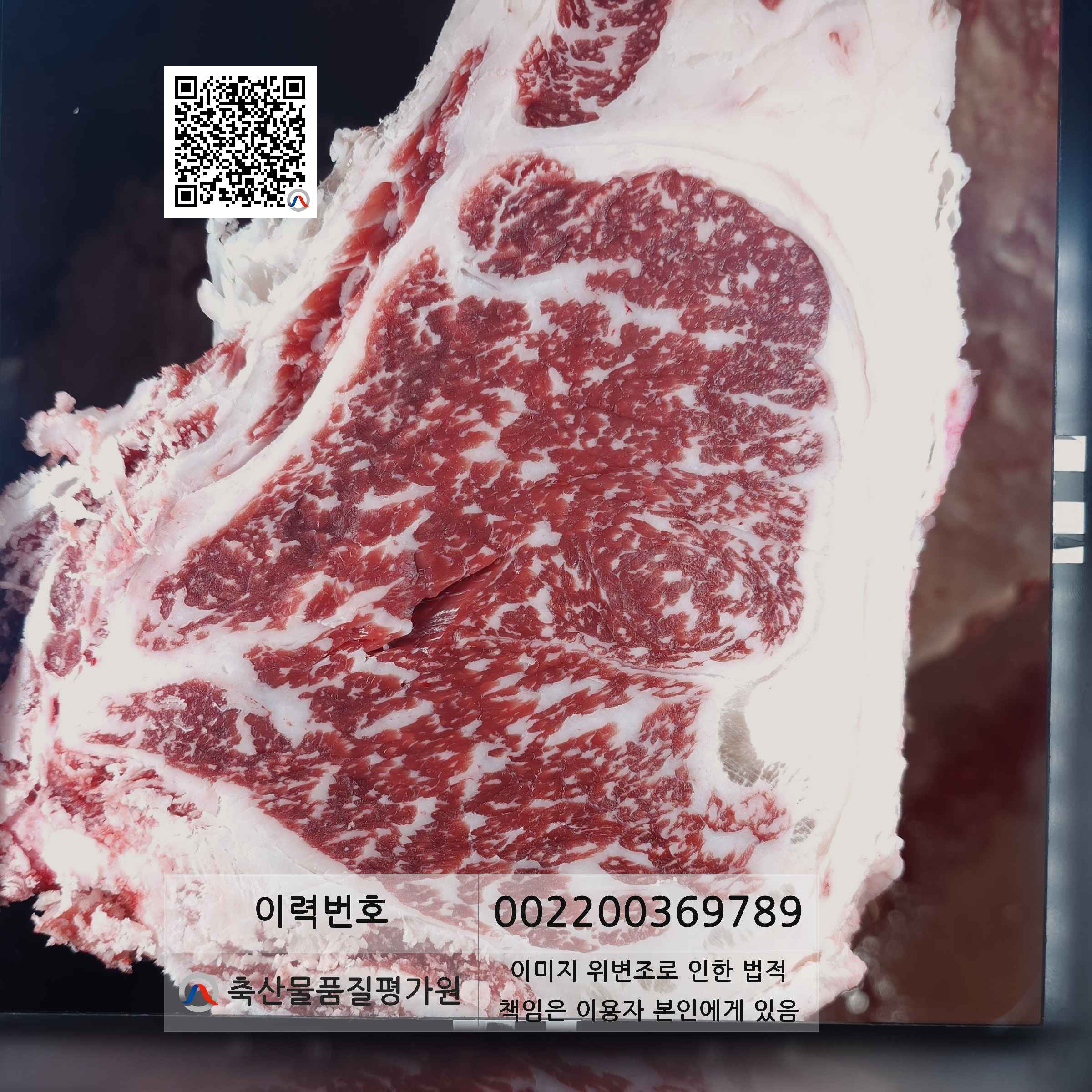 등심단면적 사진