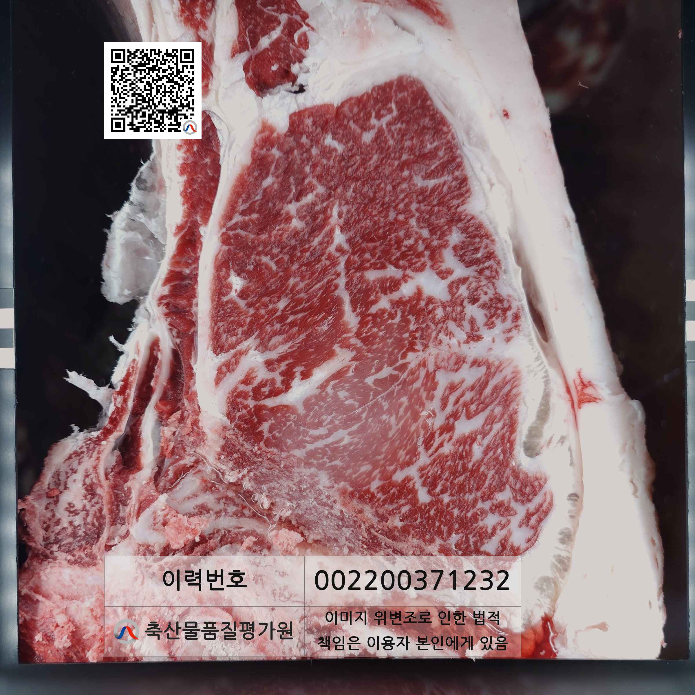 등심단면적 사진