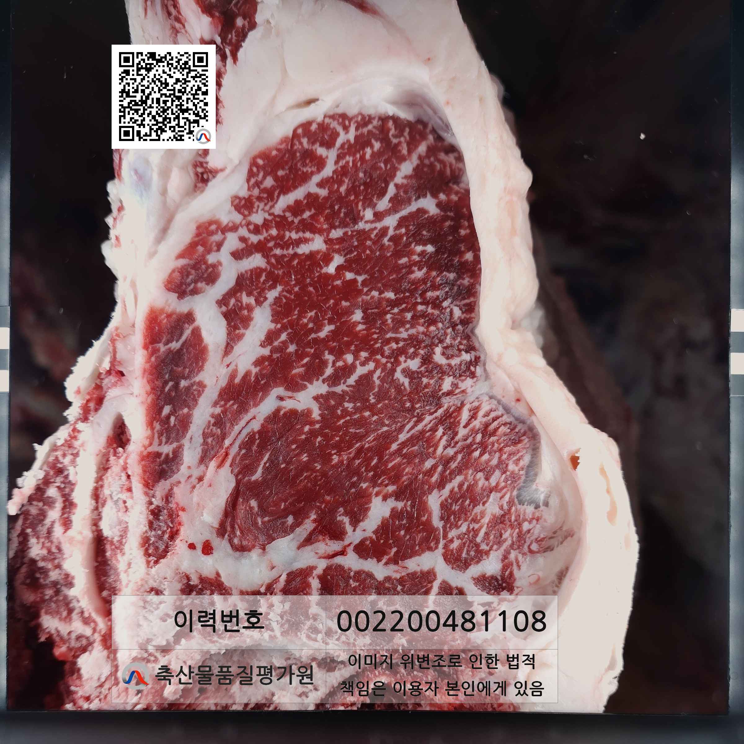 등심단면적 사진
