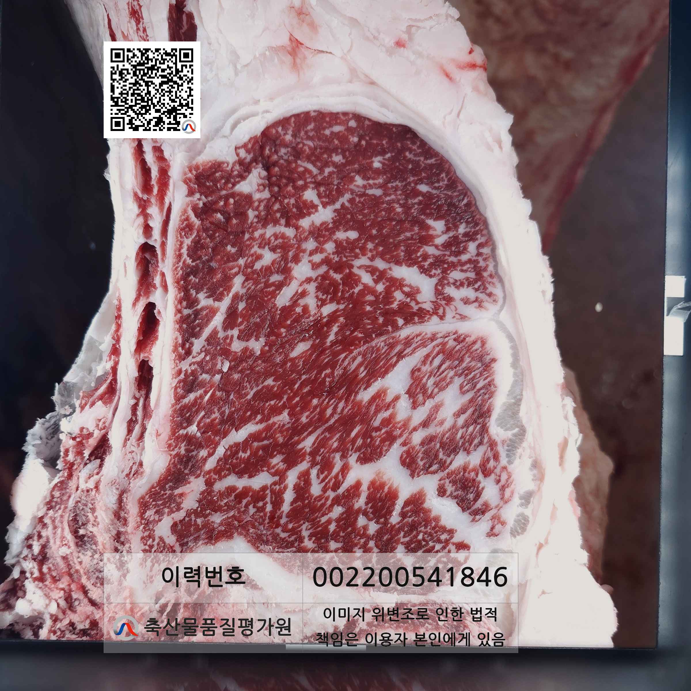 등심단면적 사진