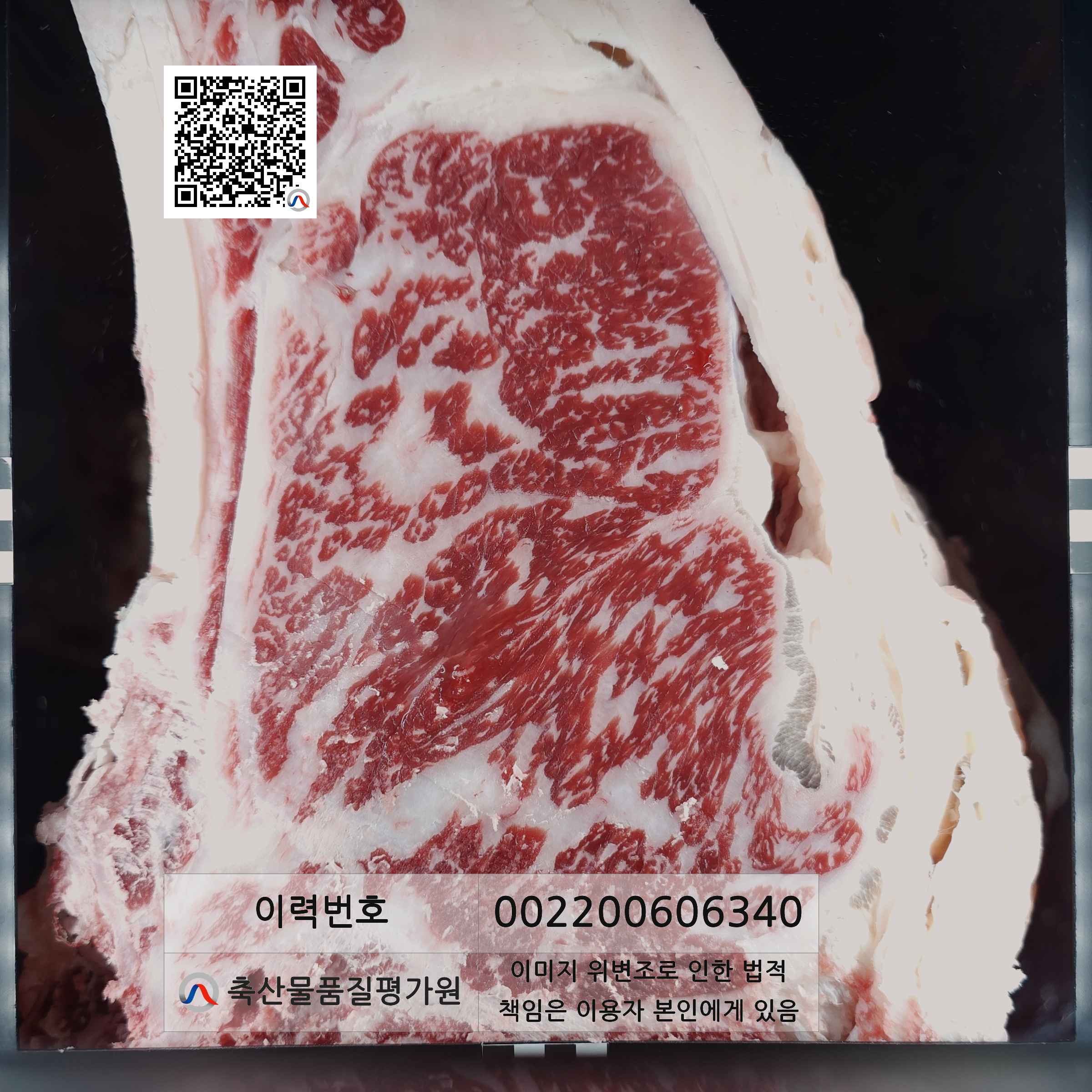 등심단면적 사진