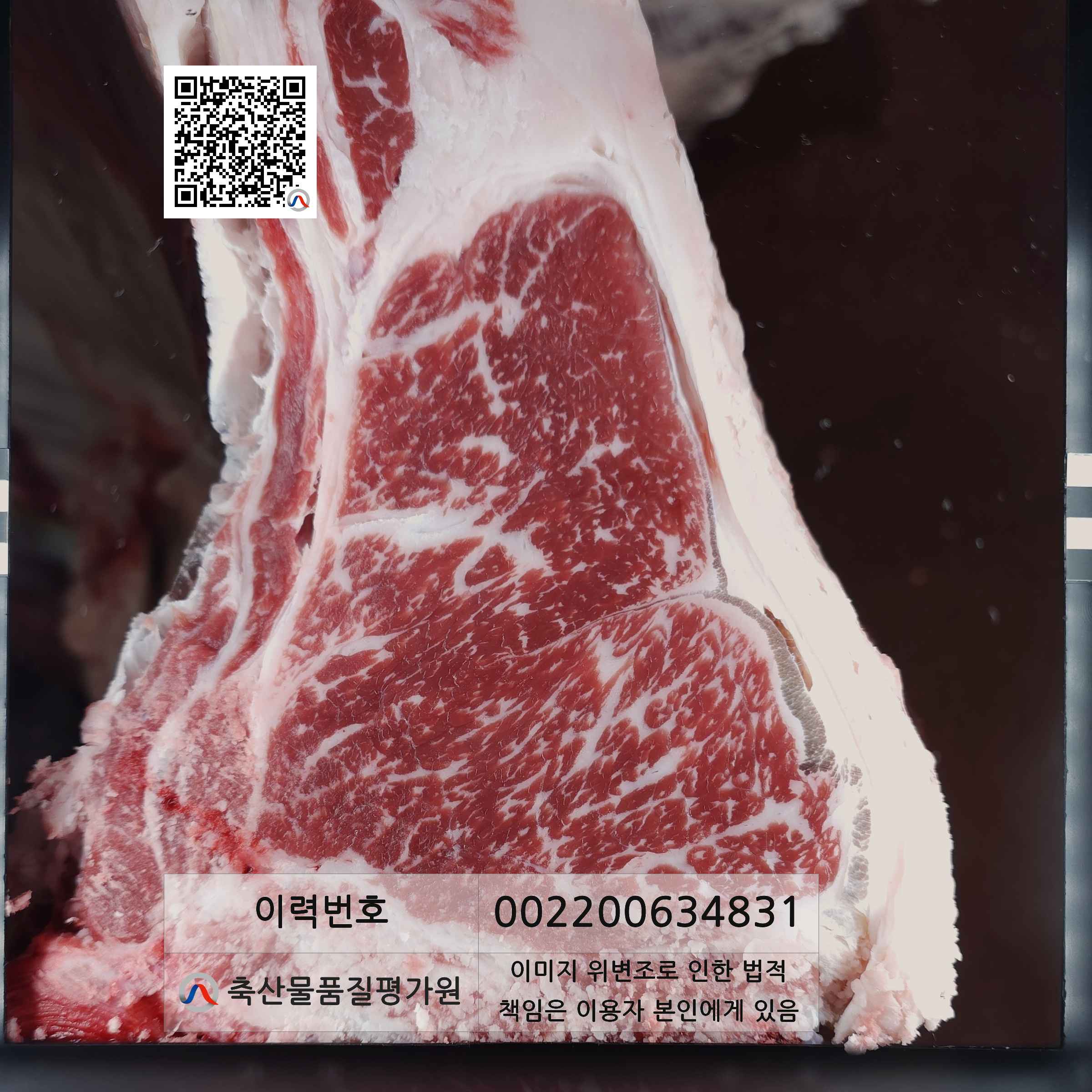 등심단면적 사진