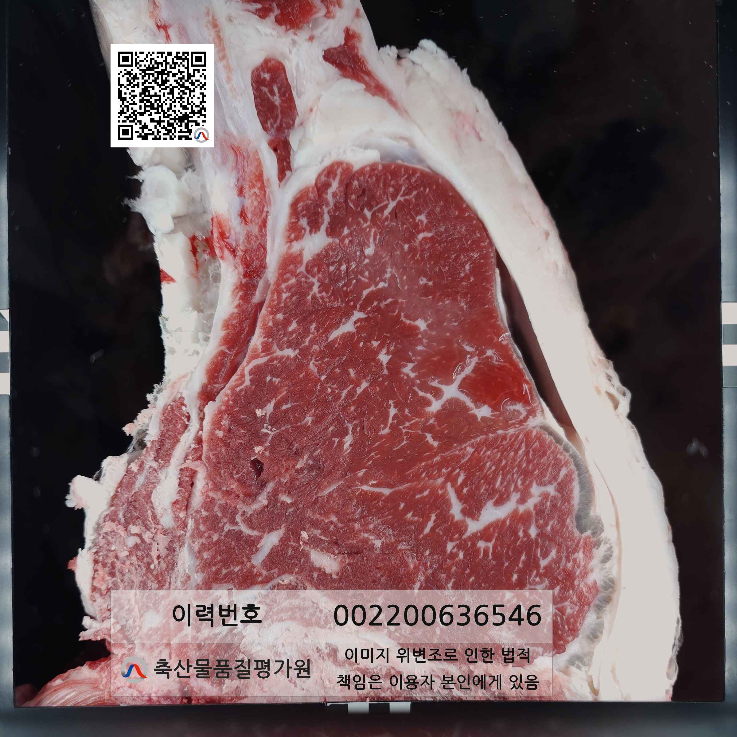 등심단면적 사진