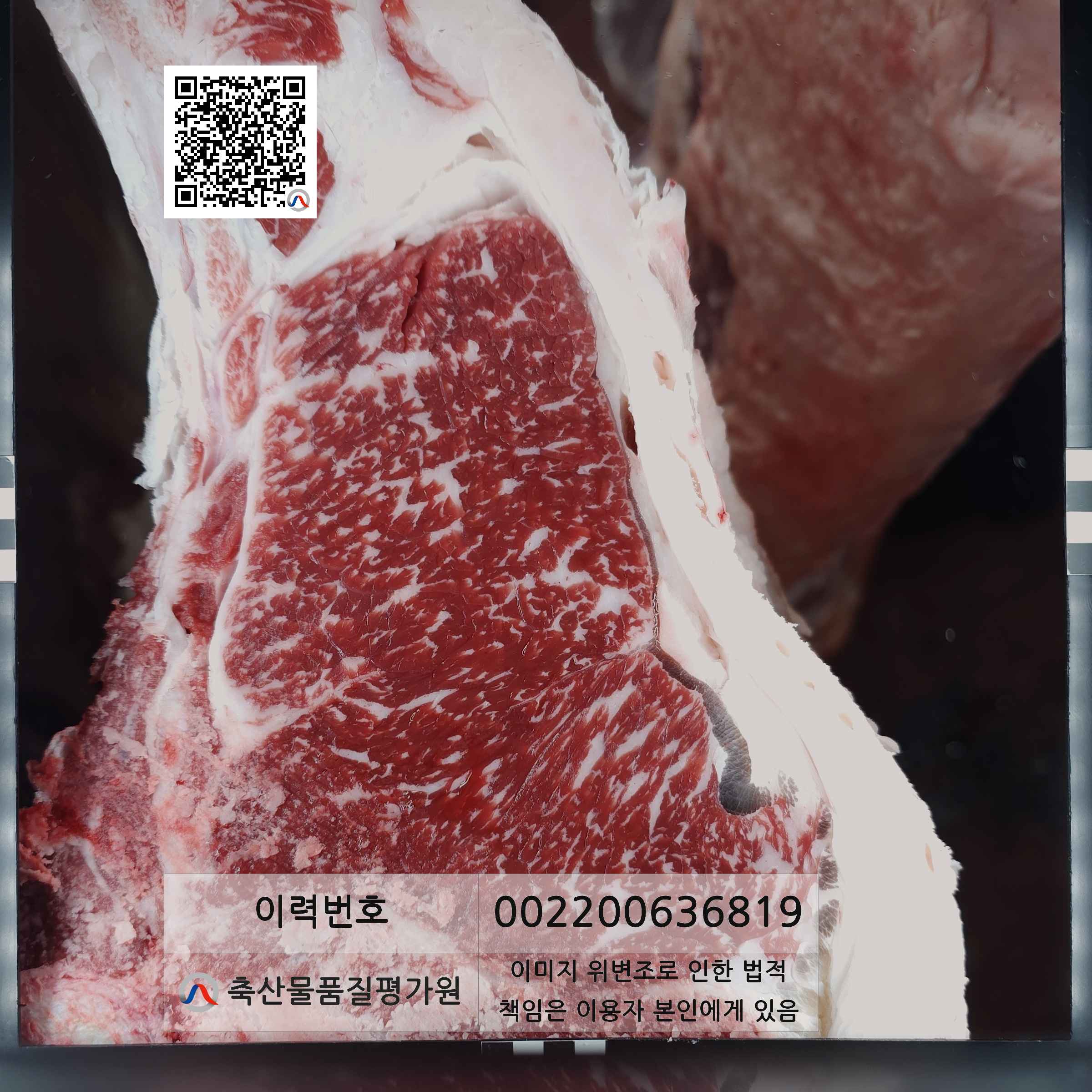 등심단면적 사진
