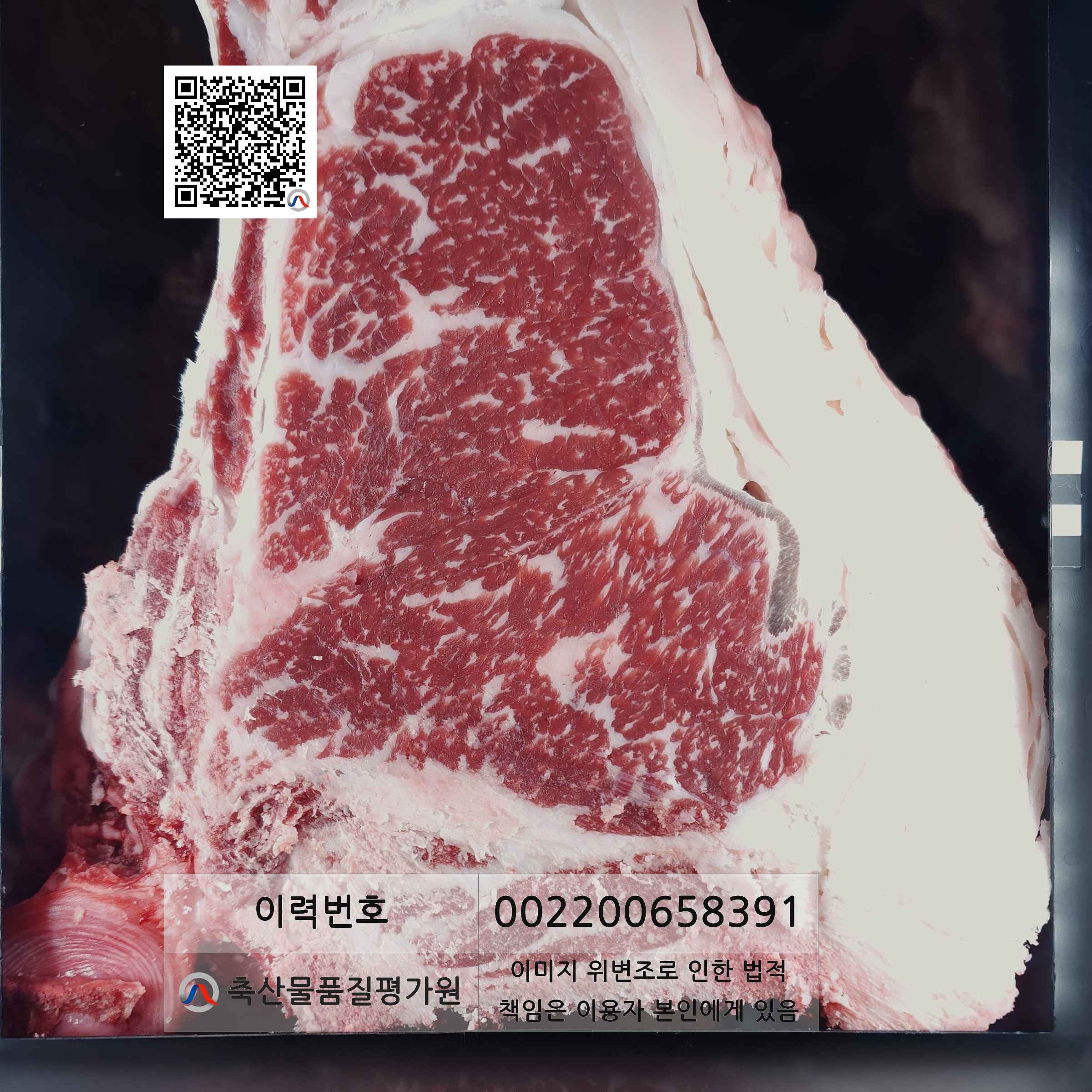 등심단면적 사진