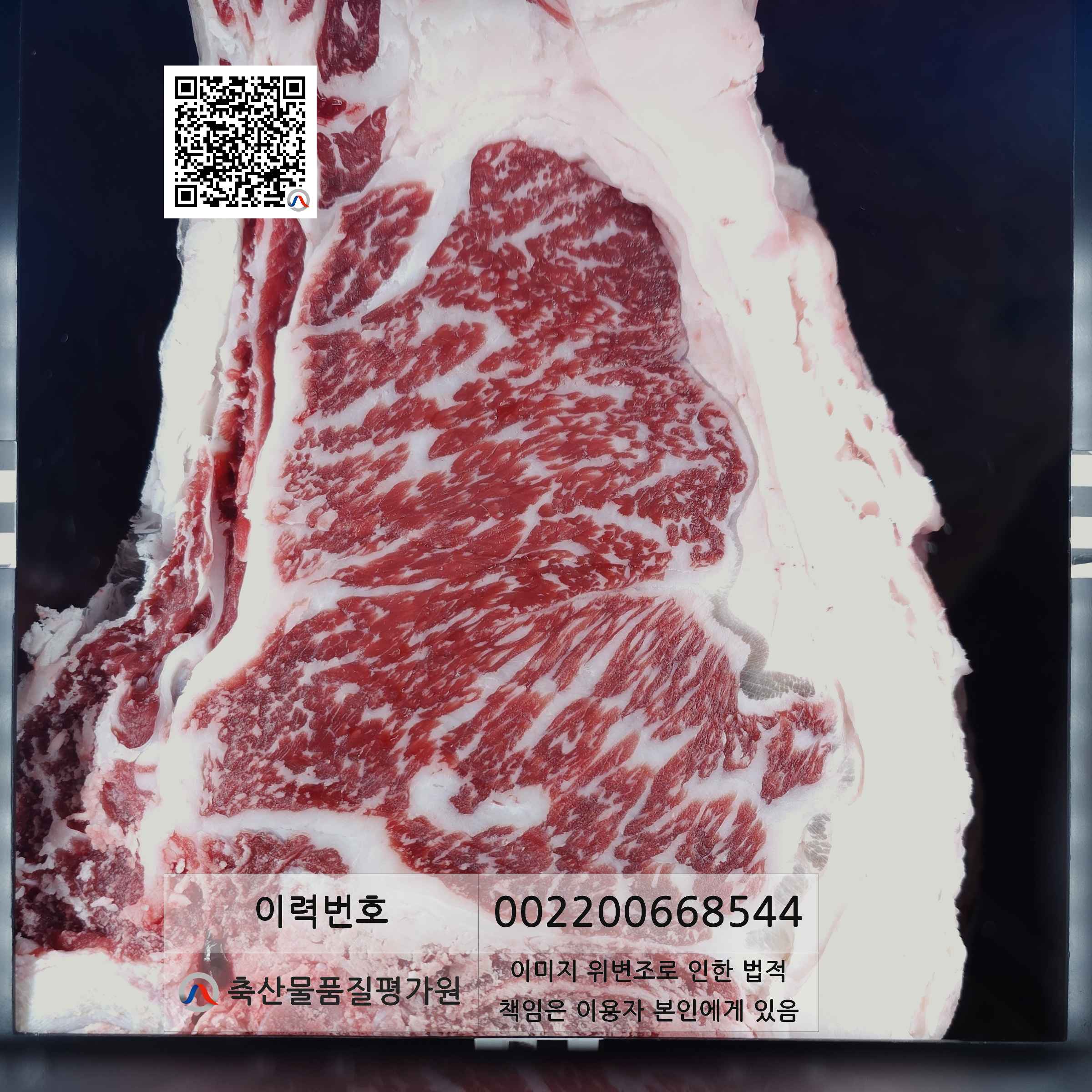 등심단면적 사진