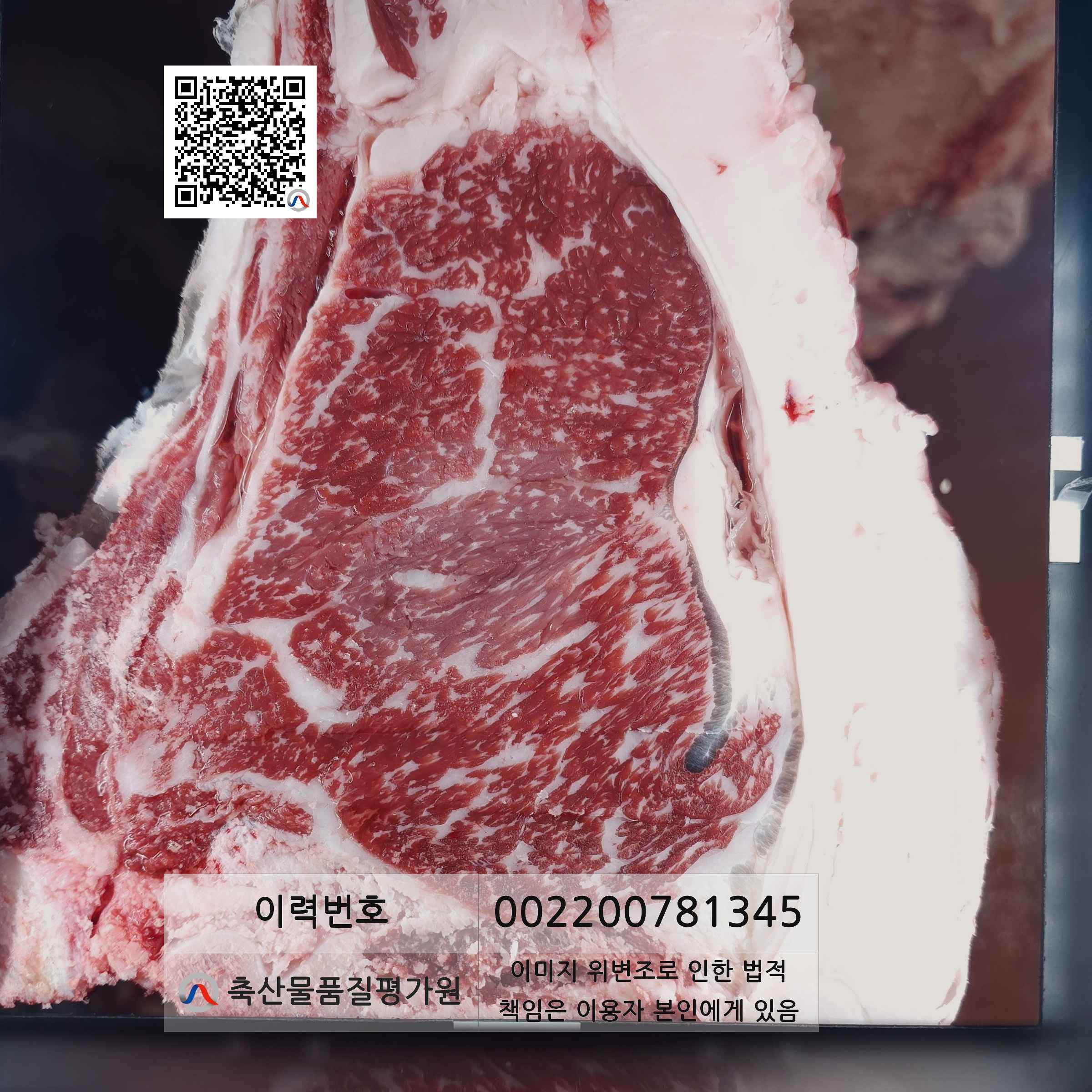 등심단면적 사진