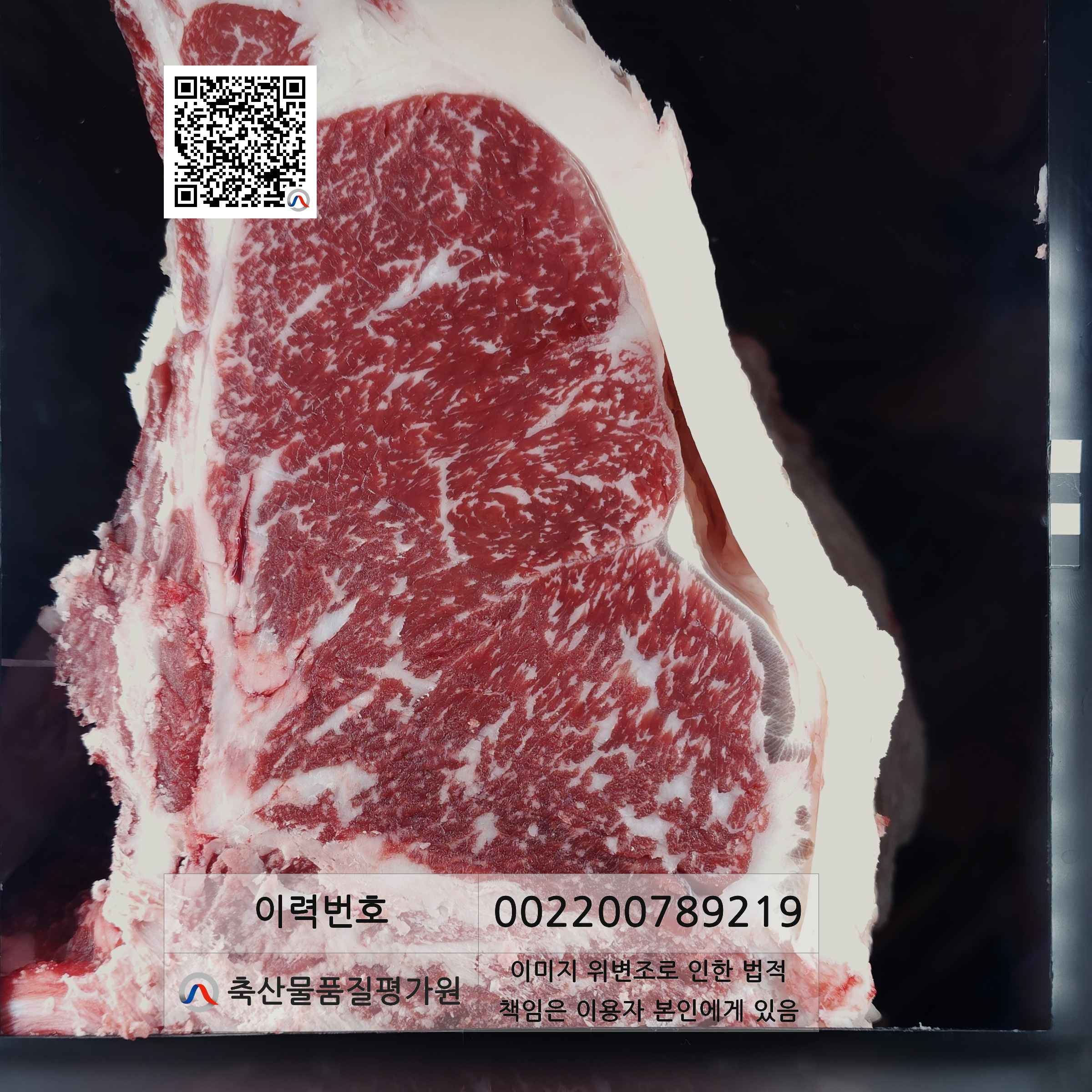 등심단면적 사진