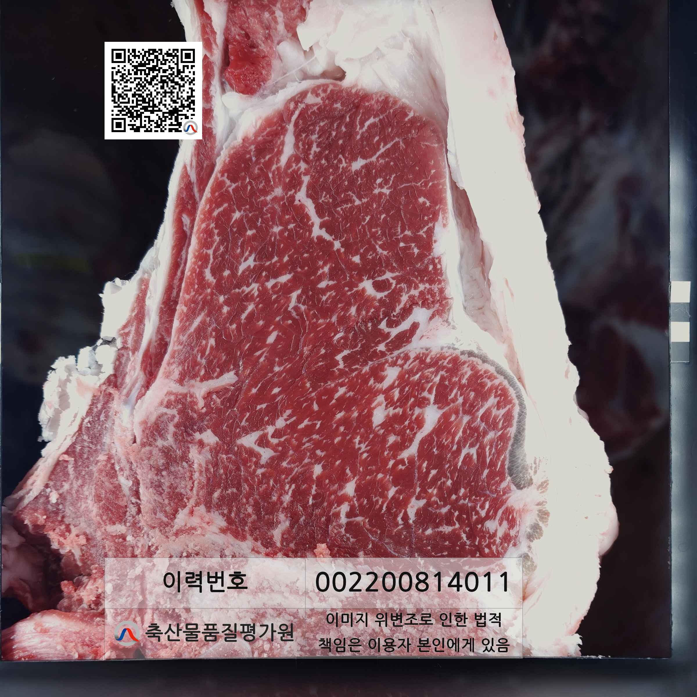 등심단면적 사진