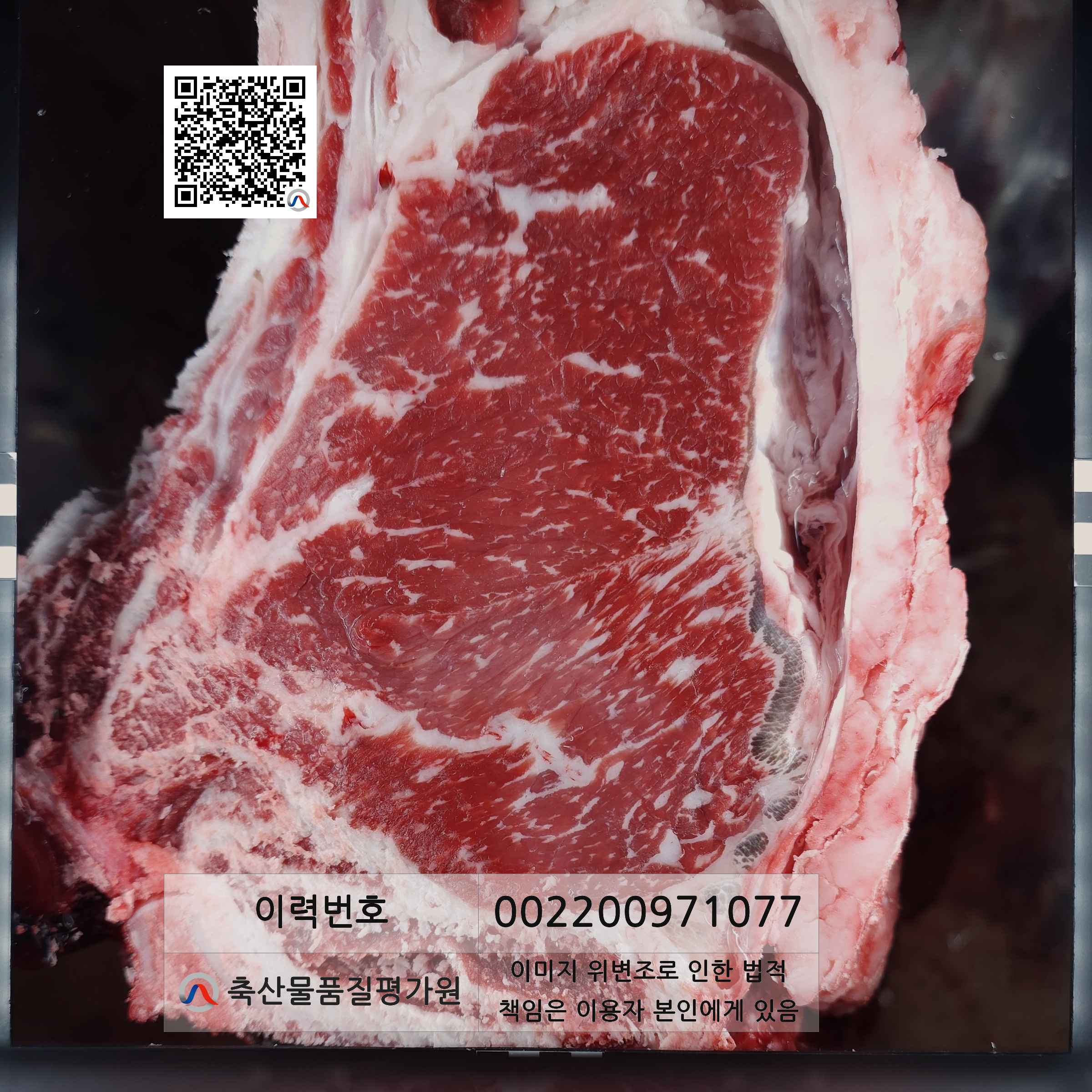등심단면적 사진