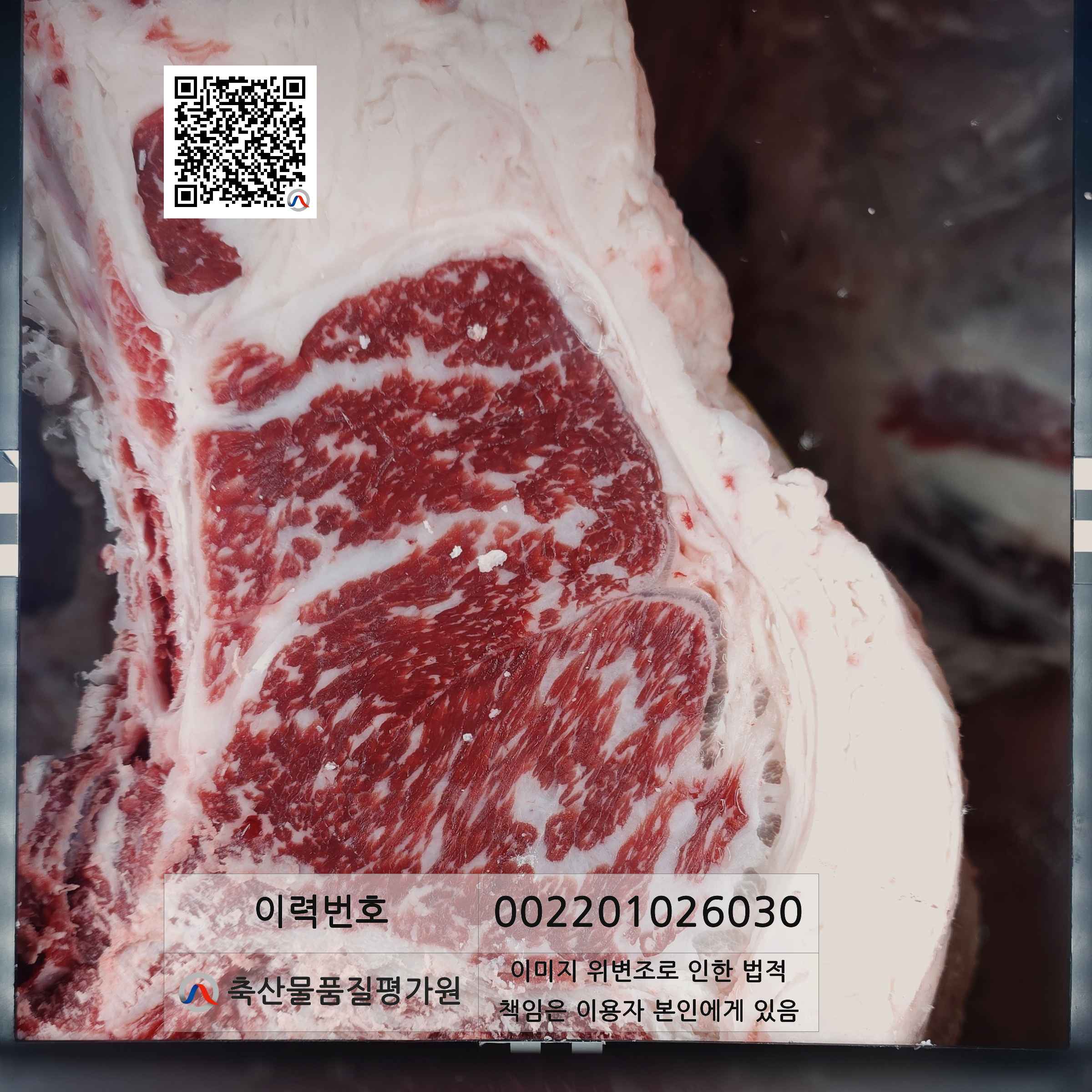등심단면적 사진