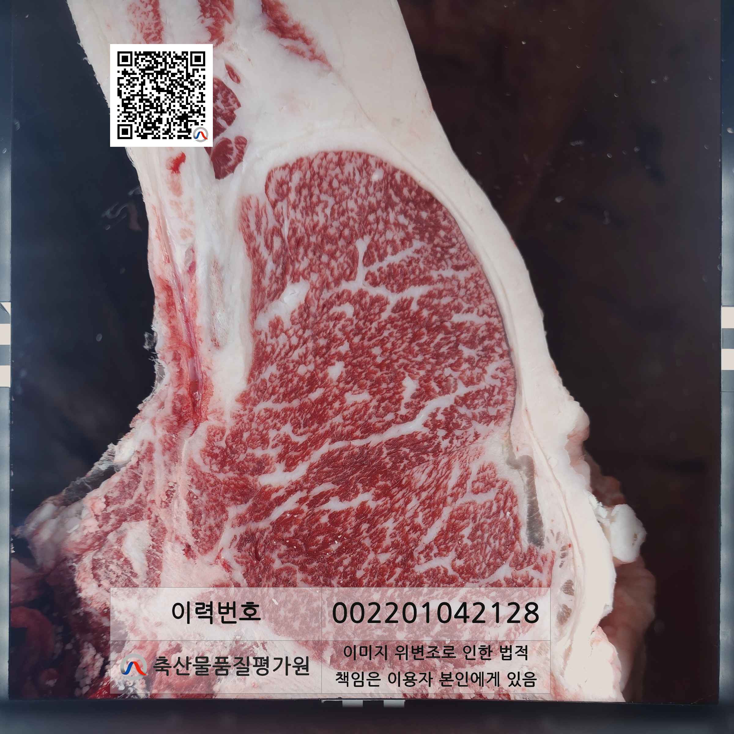 등심단면적 사진