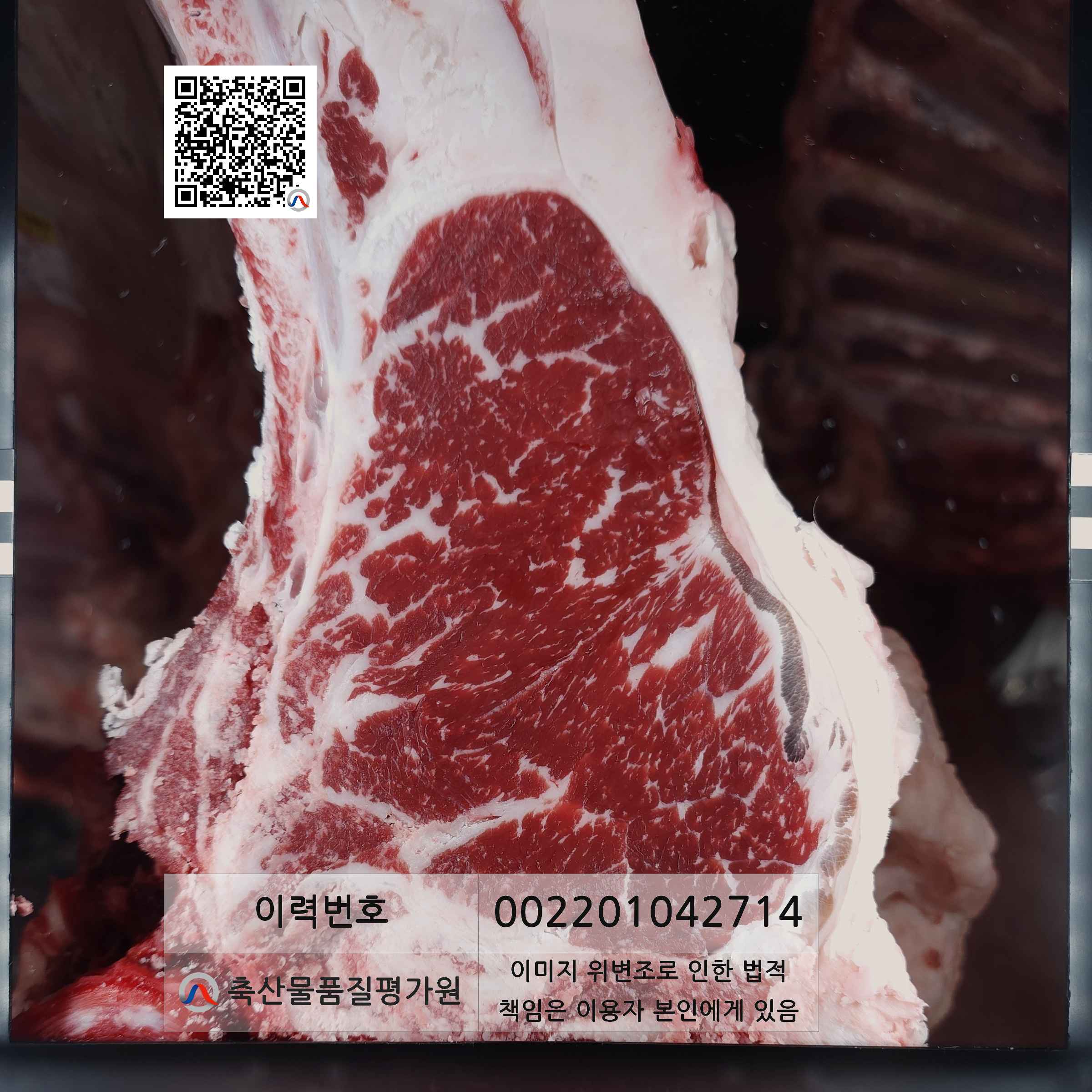 등심단면적 사진