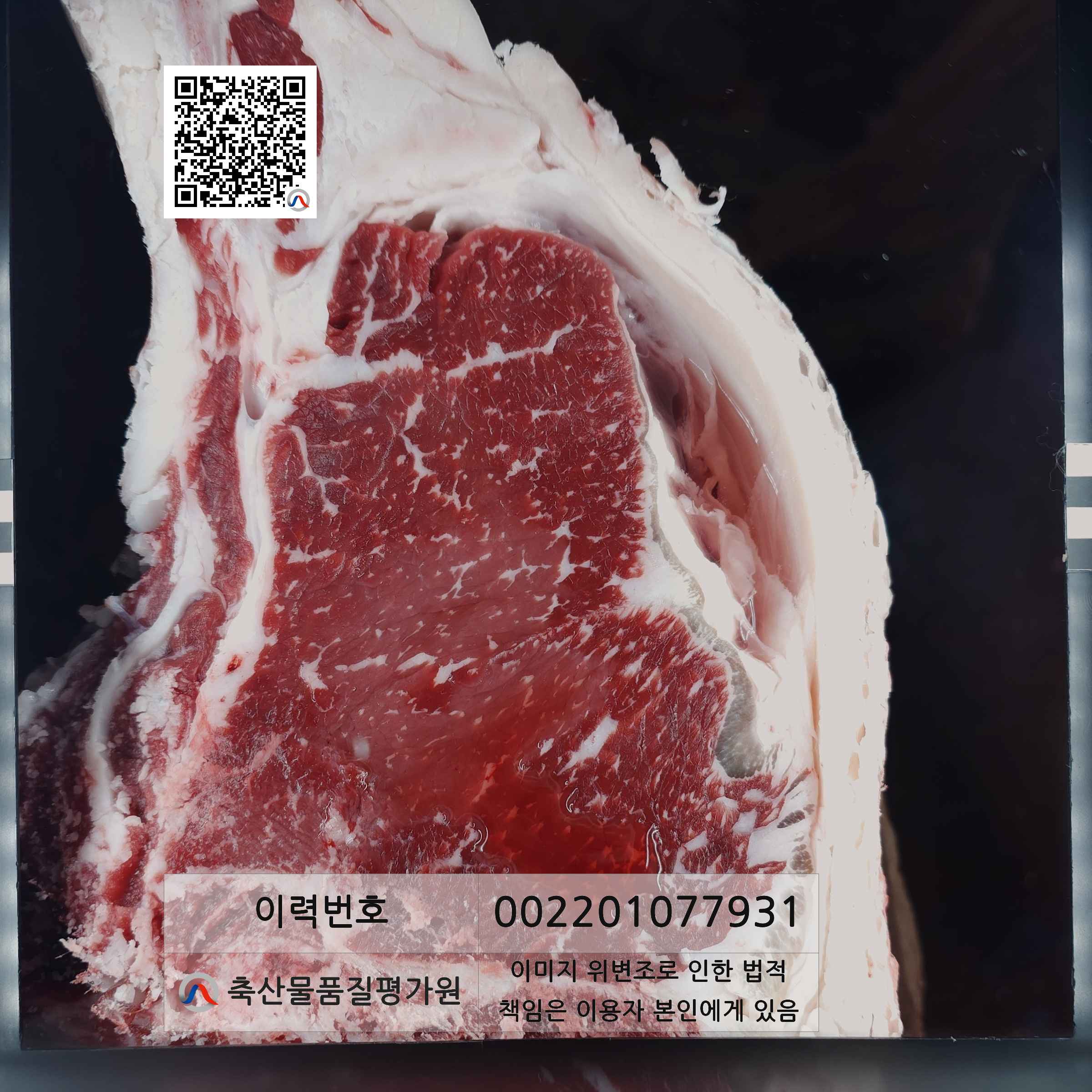 등심단면적 사진